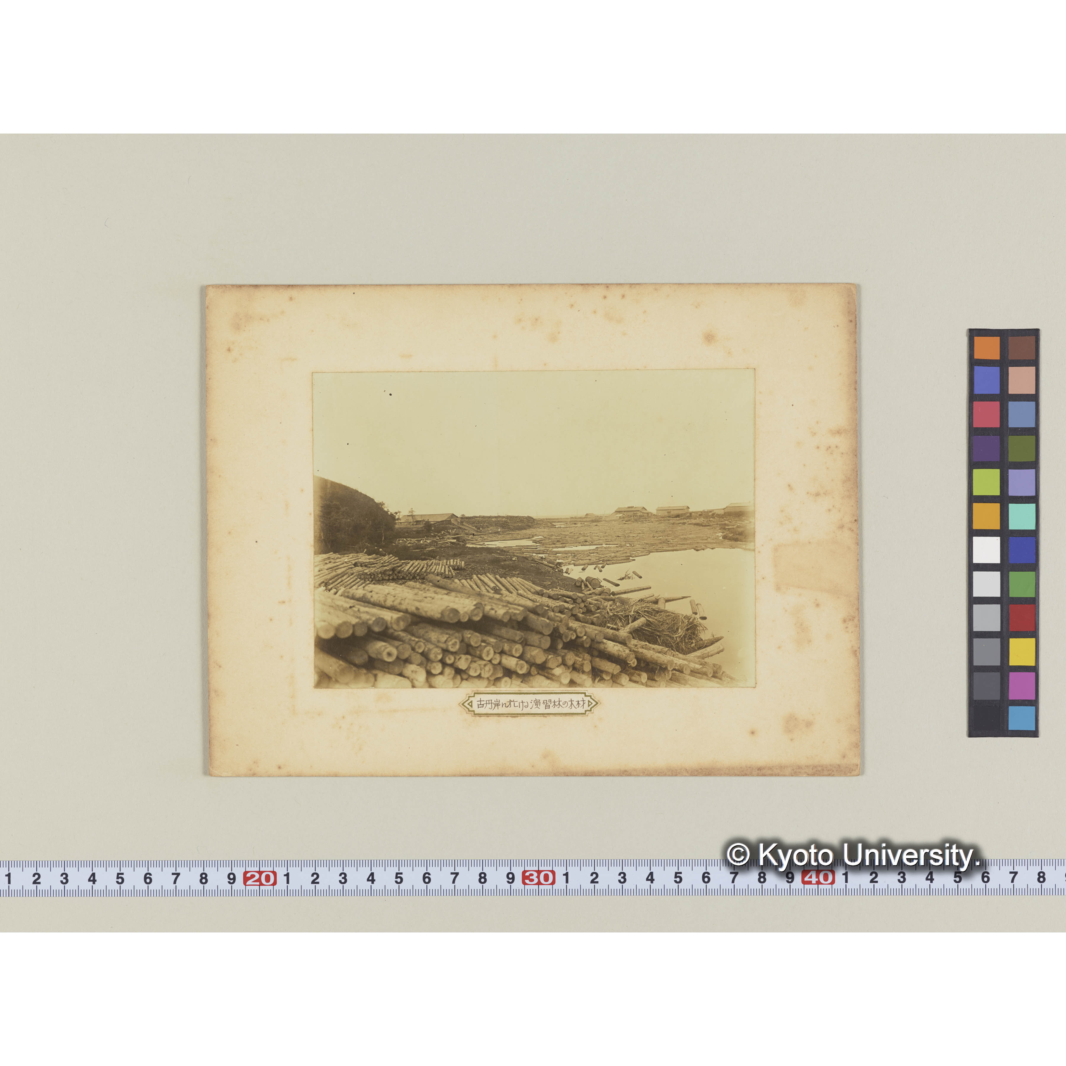 古丹岸に於ける演習林の木材 (2)