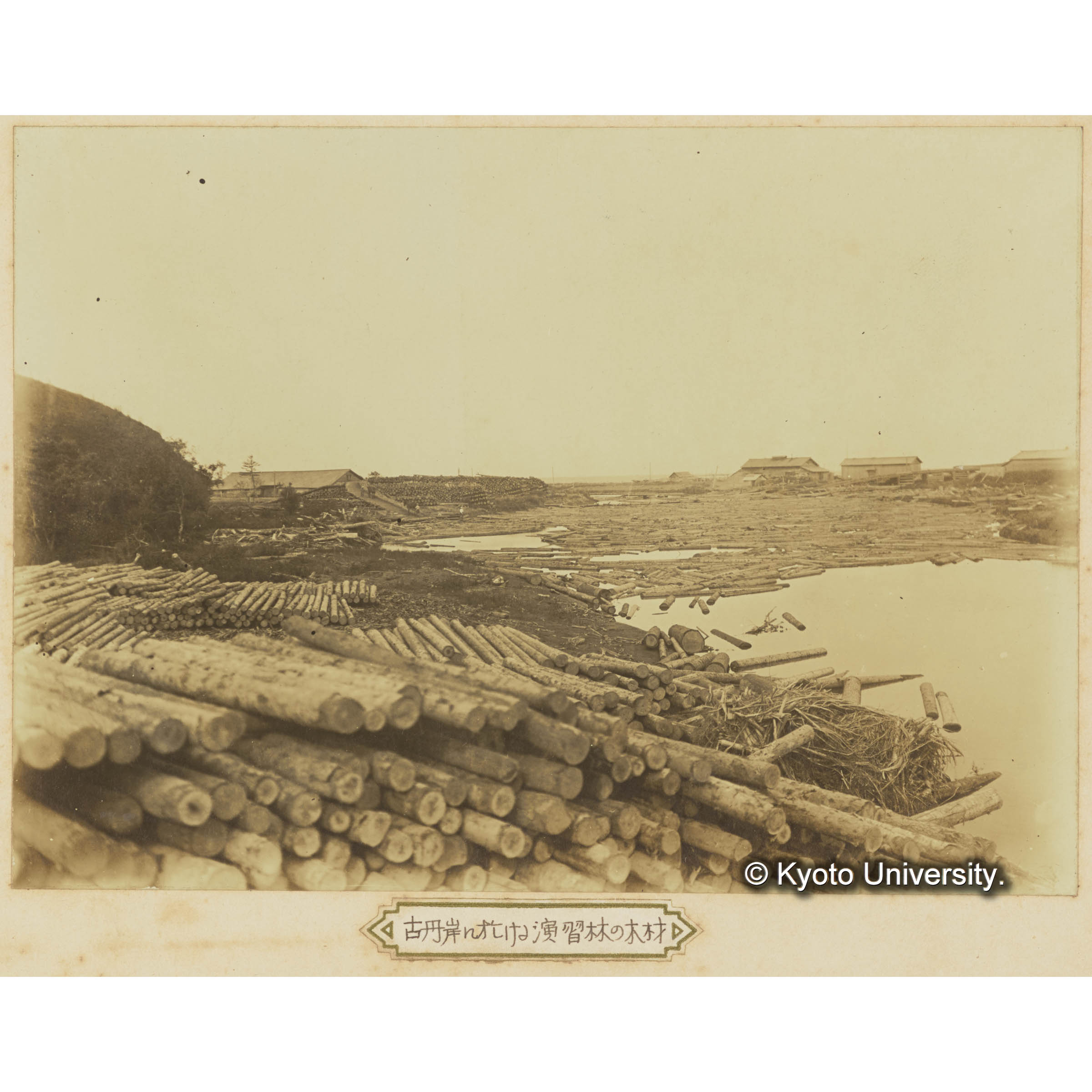 古丹岸に於ける演習林の木材 (3)