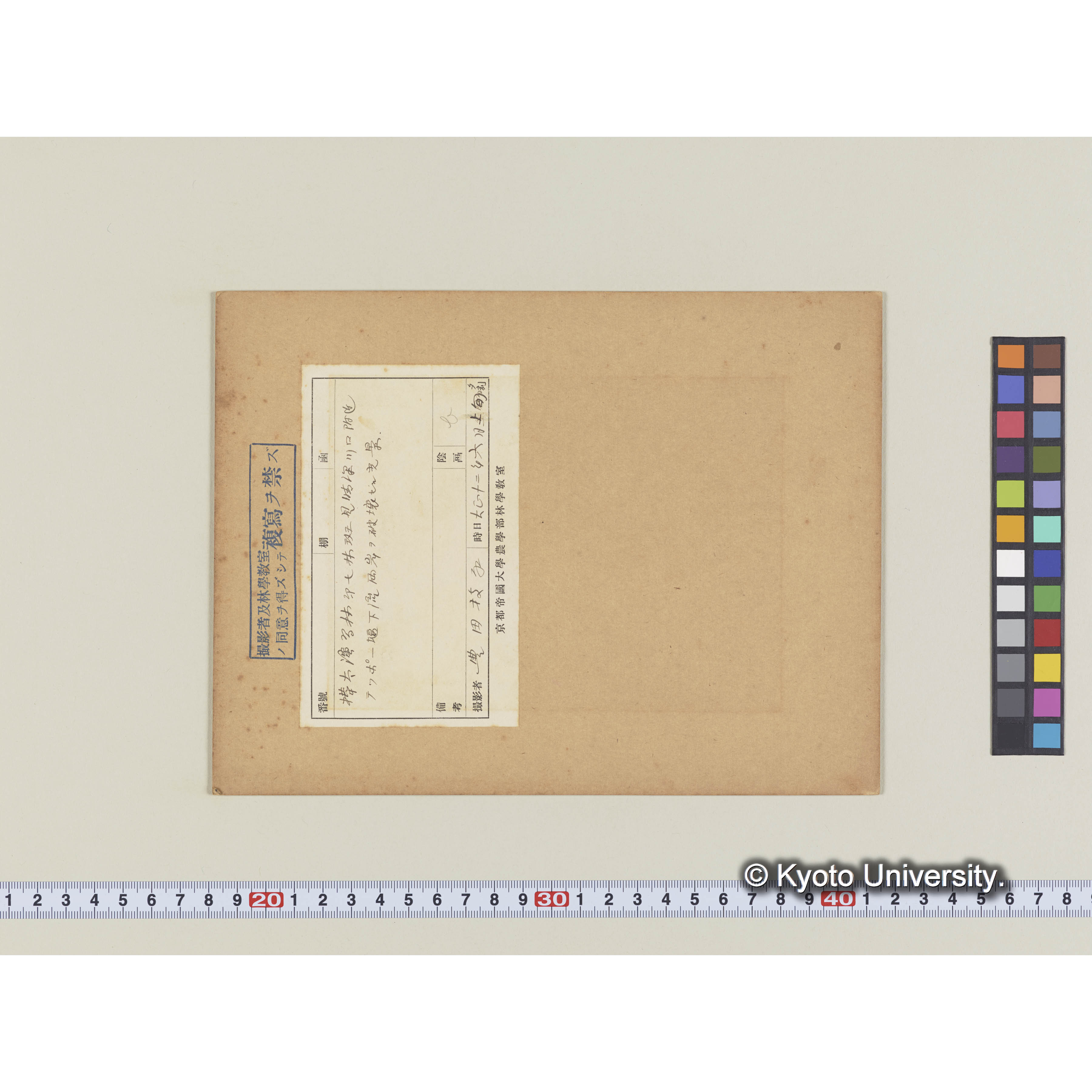 テッポー堰 河岸を破壊す (2)