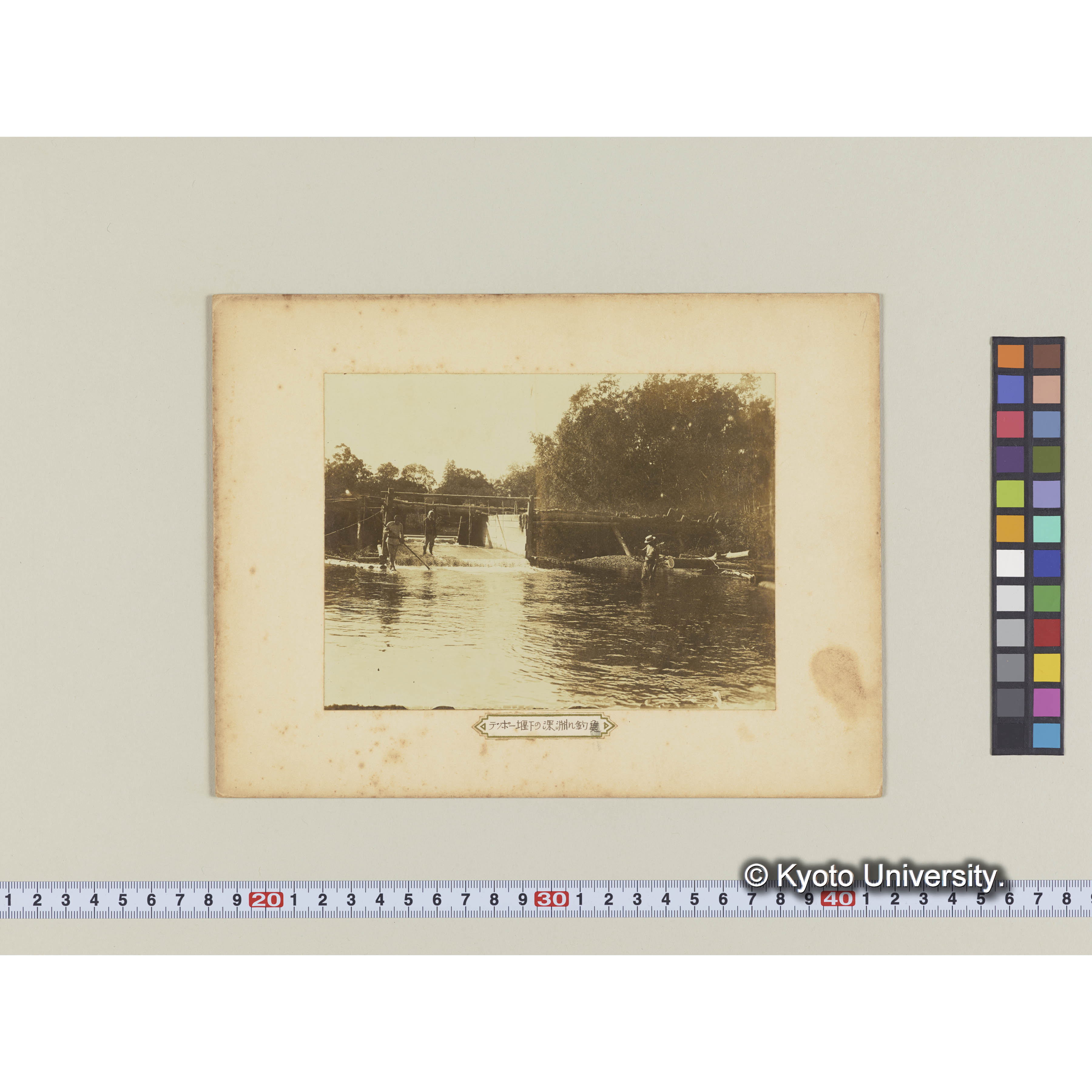 テッポー堰下の深淵に釣魚 (1)