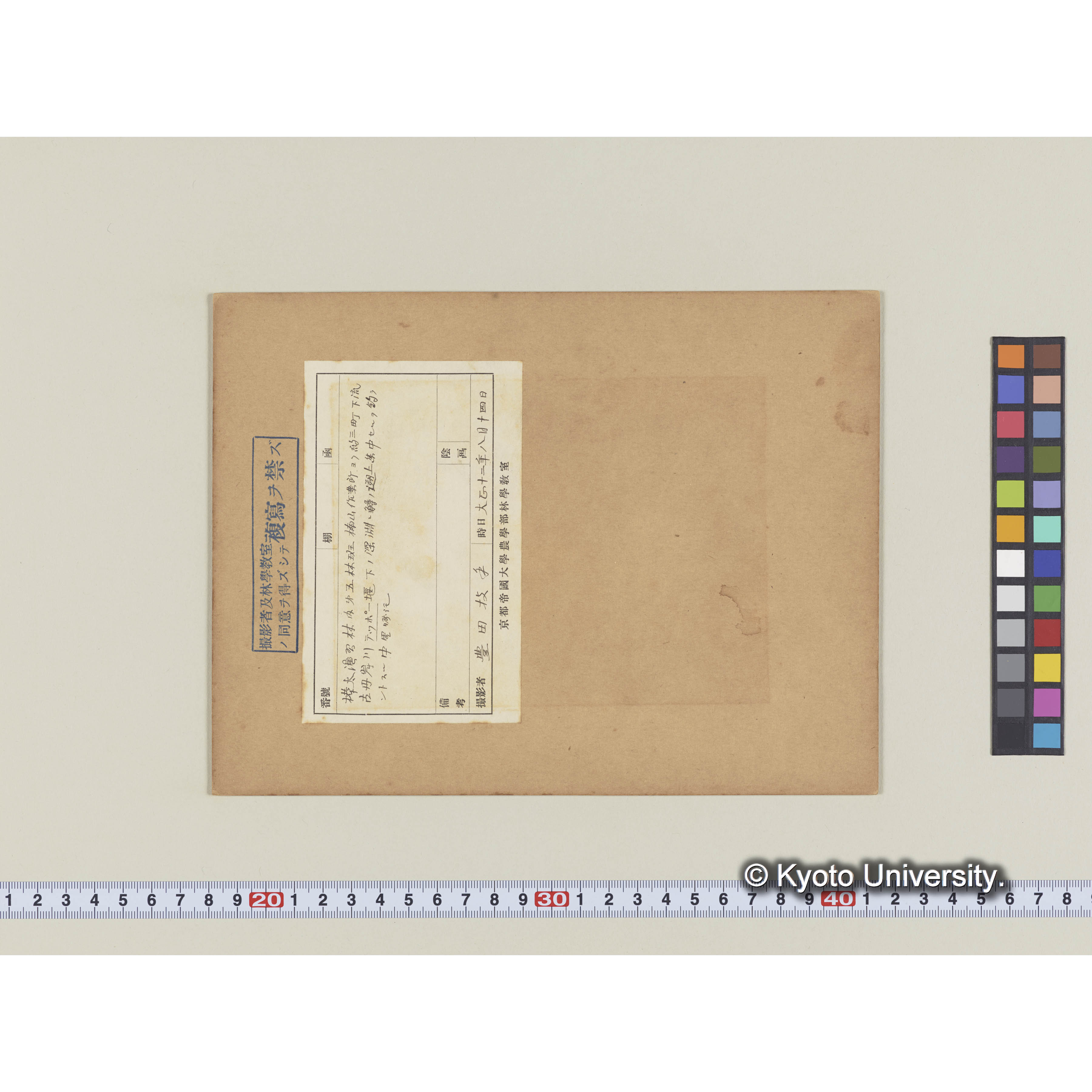 テッポー堰下の深淵に釣魚 (2)