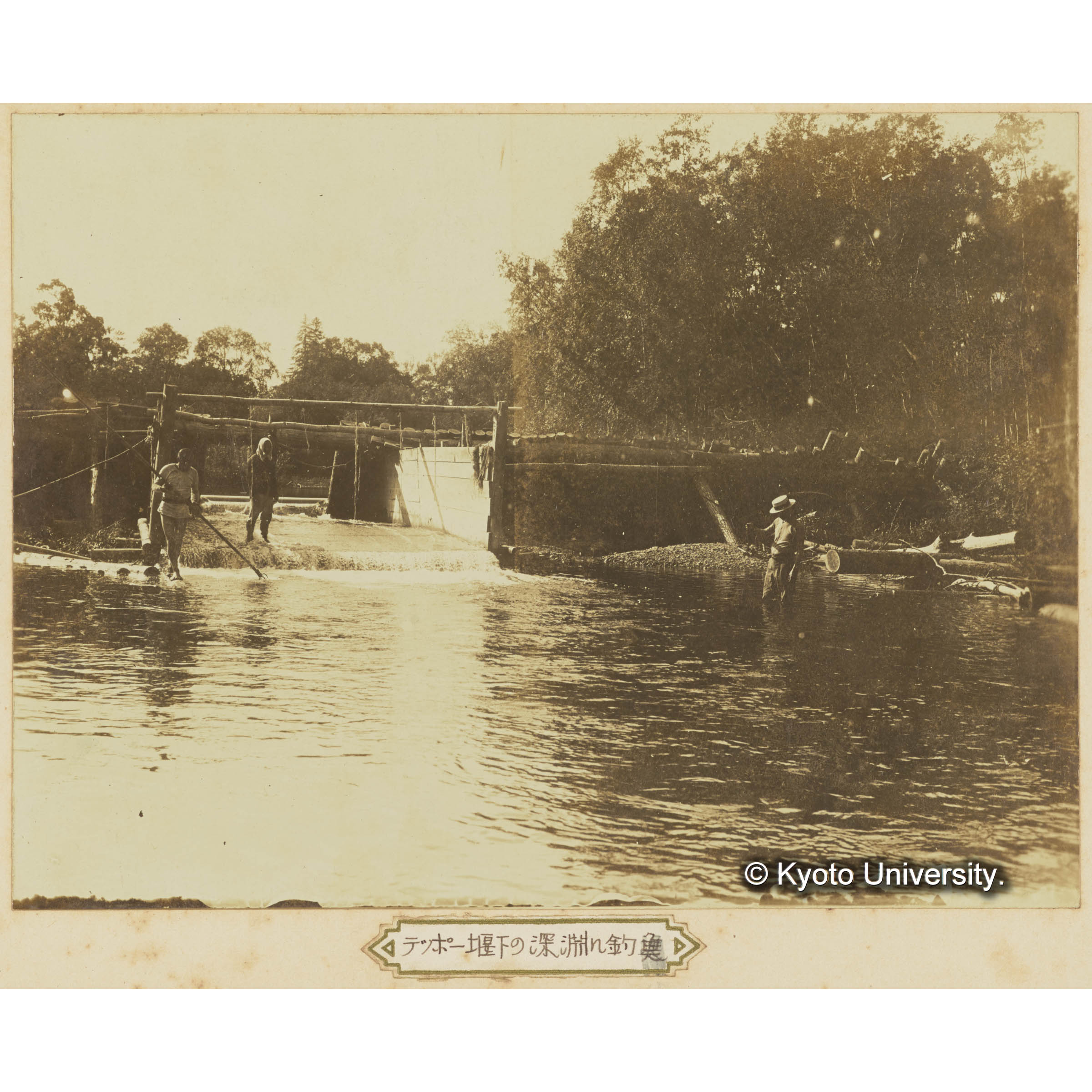 テッポー堰下の深淵に釣魚 (3)