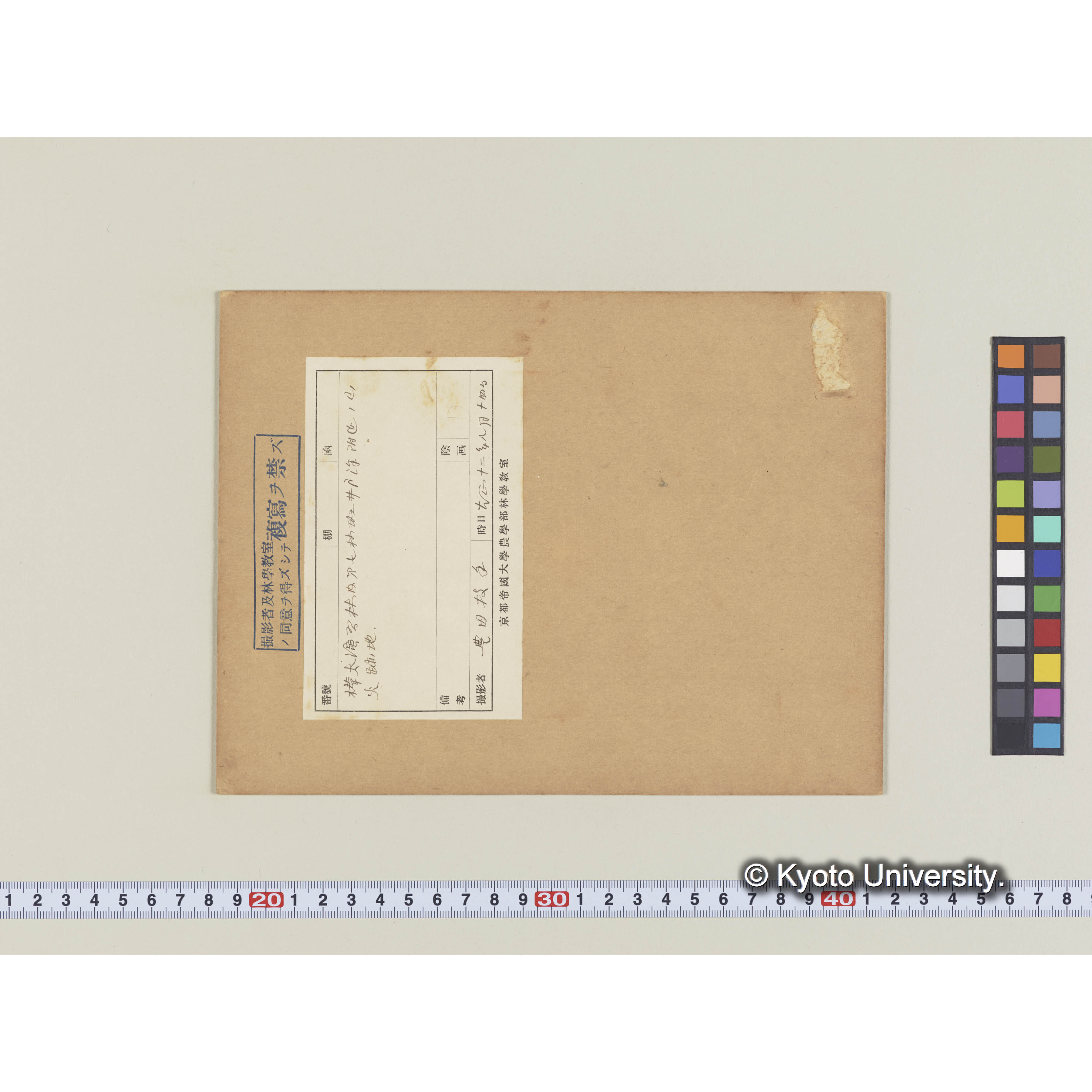 樺太演習林井戸沢の焼跡地 (2)