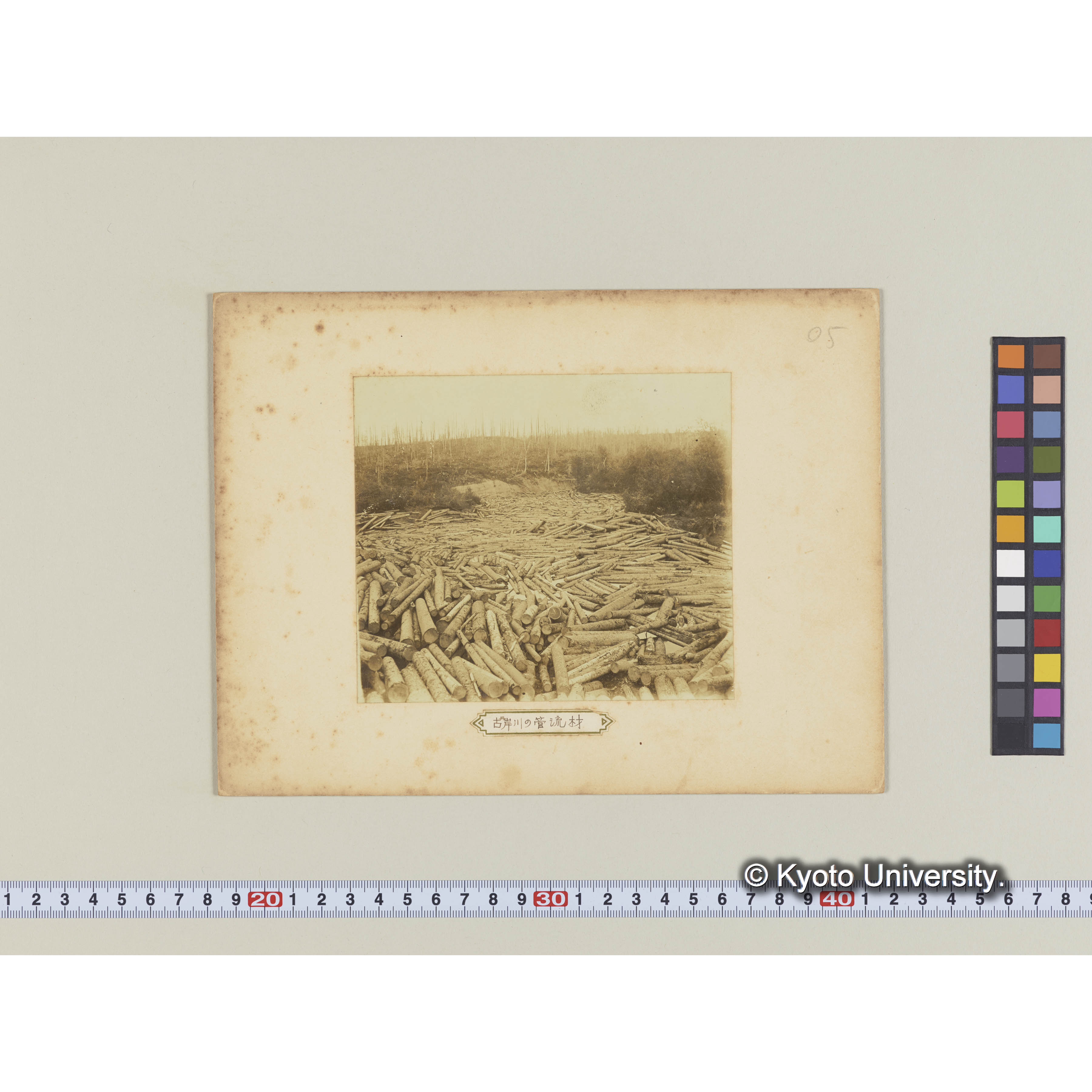 古丹岸川の管流材 (1)