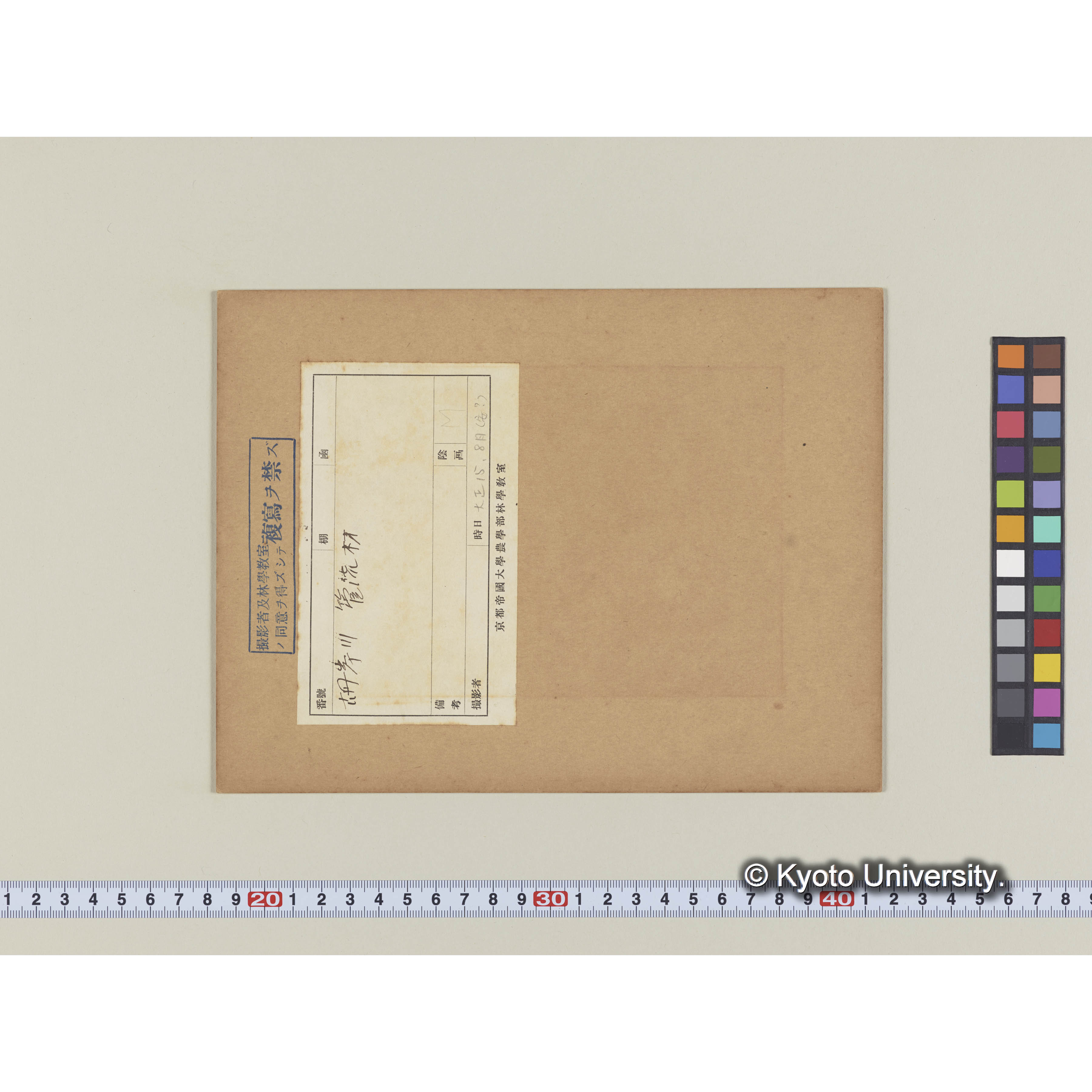 古丹岸川の管流材 (2)