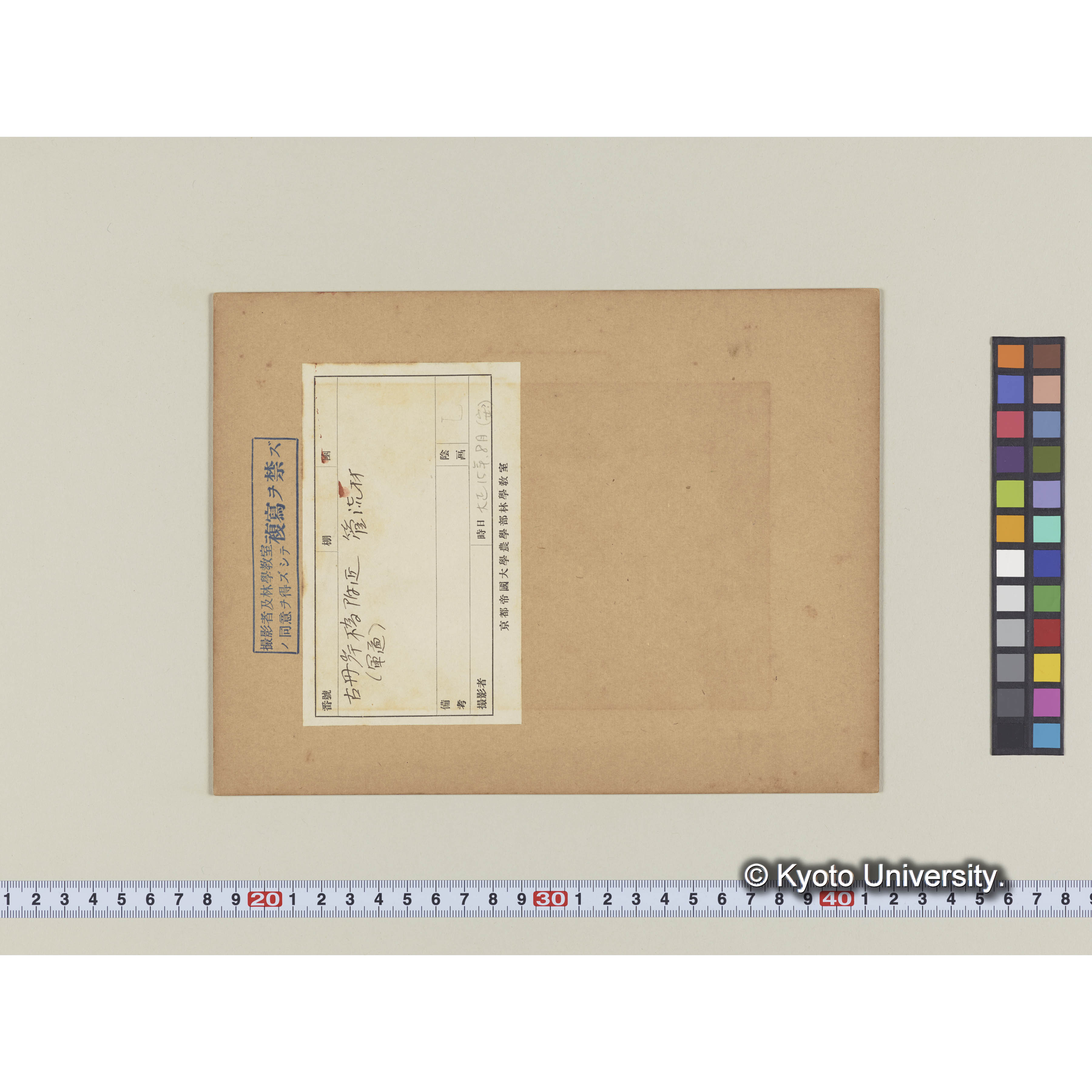 古丹岸川の管流材 (2)