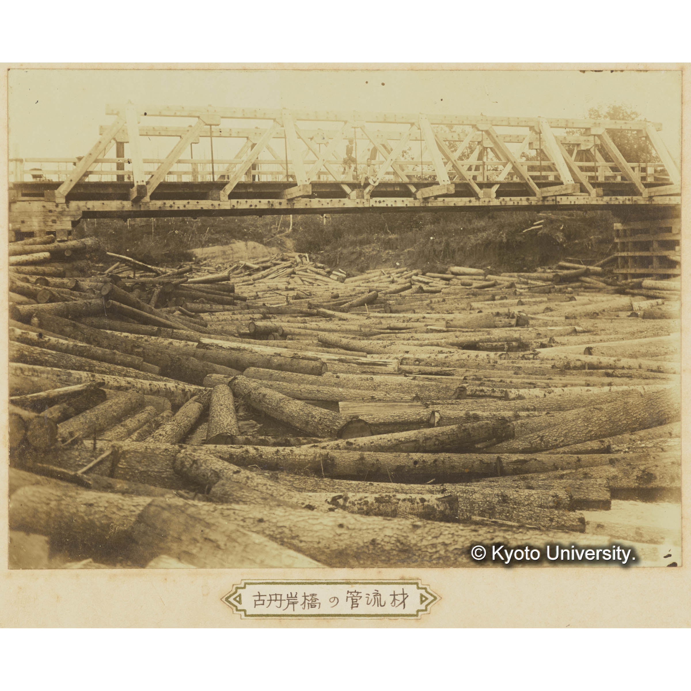 古丹岸川の管流材 (3)