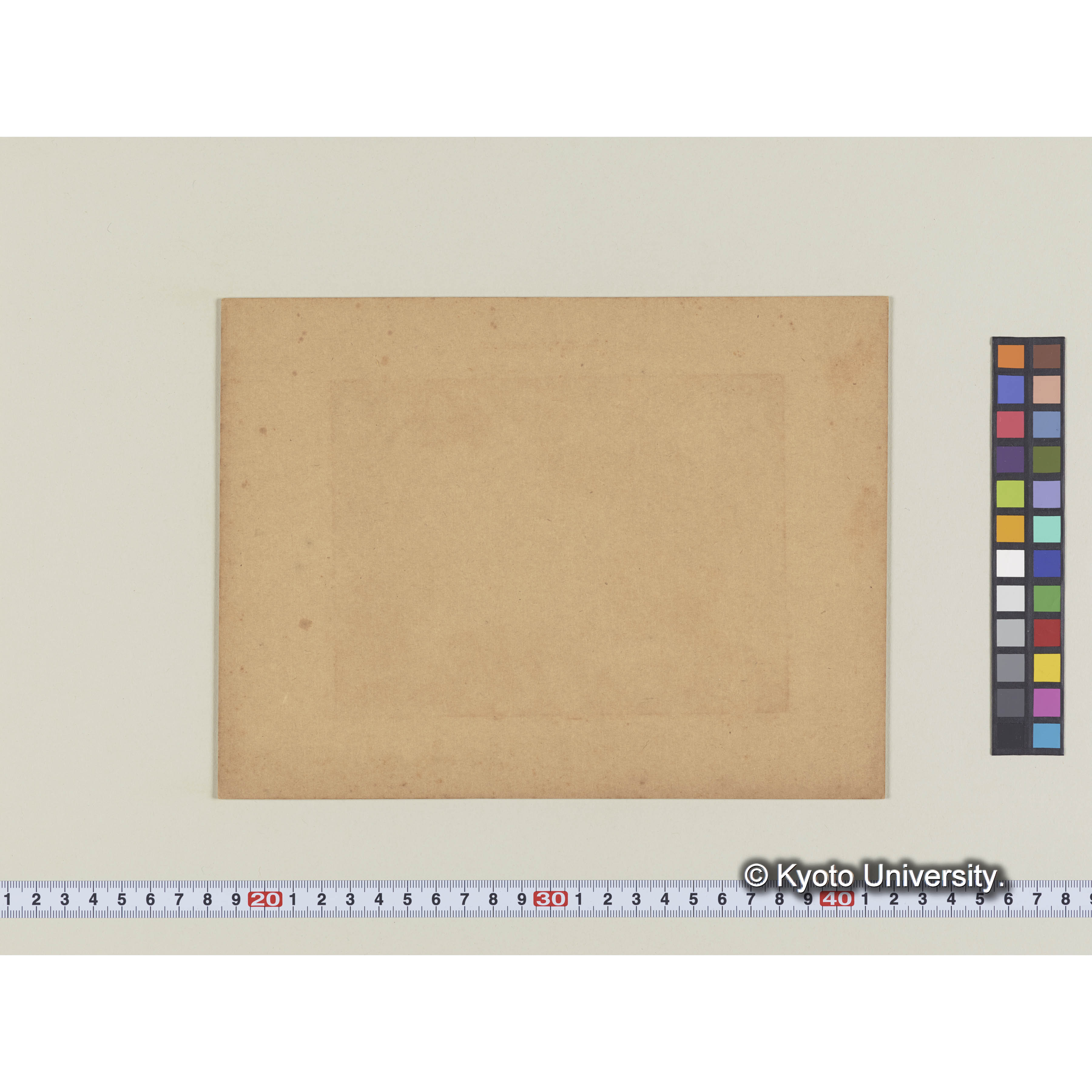 樺太。森林の焼跡 (1)