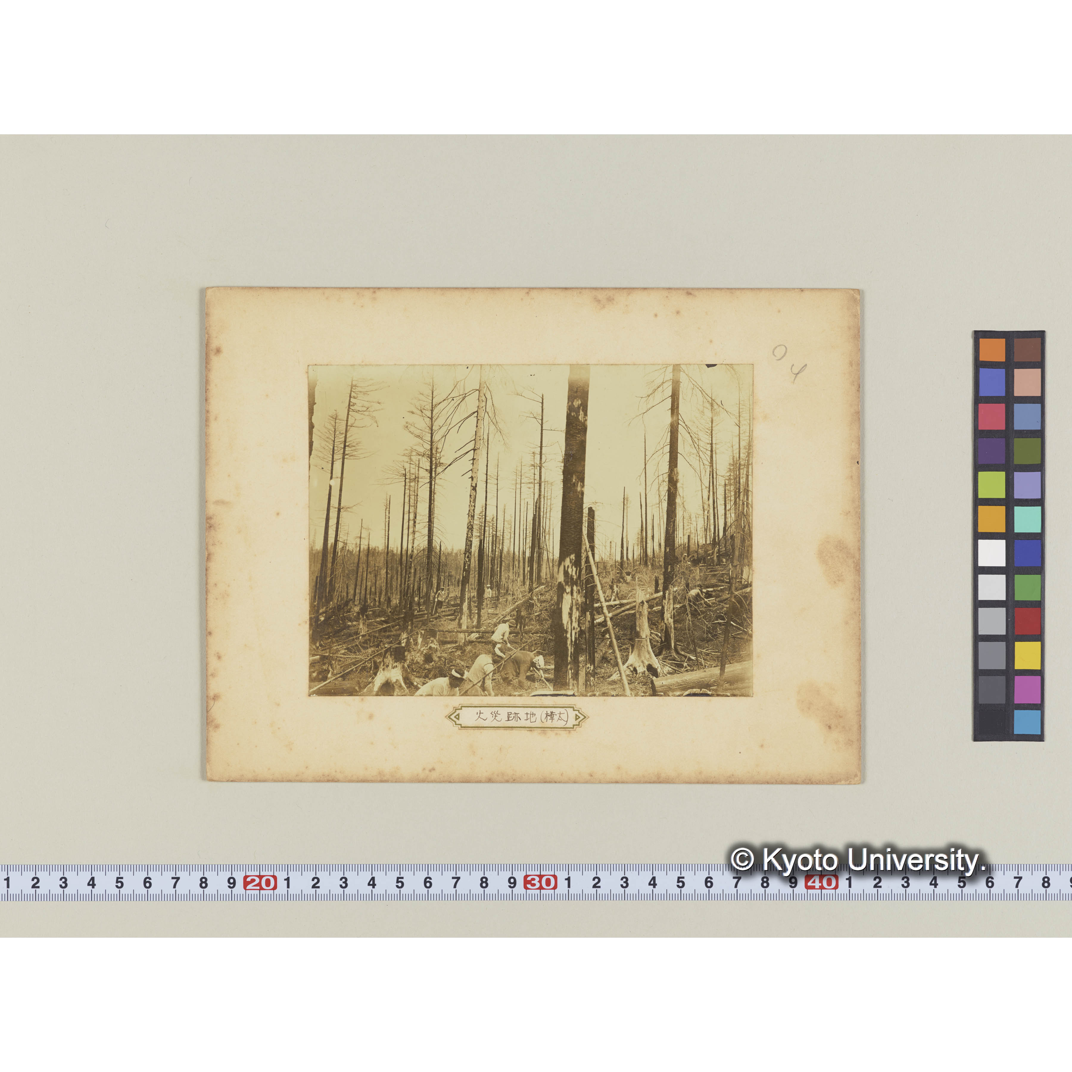 樺太演習林における火事跡の整理 (1)