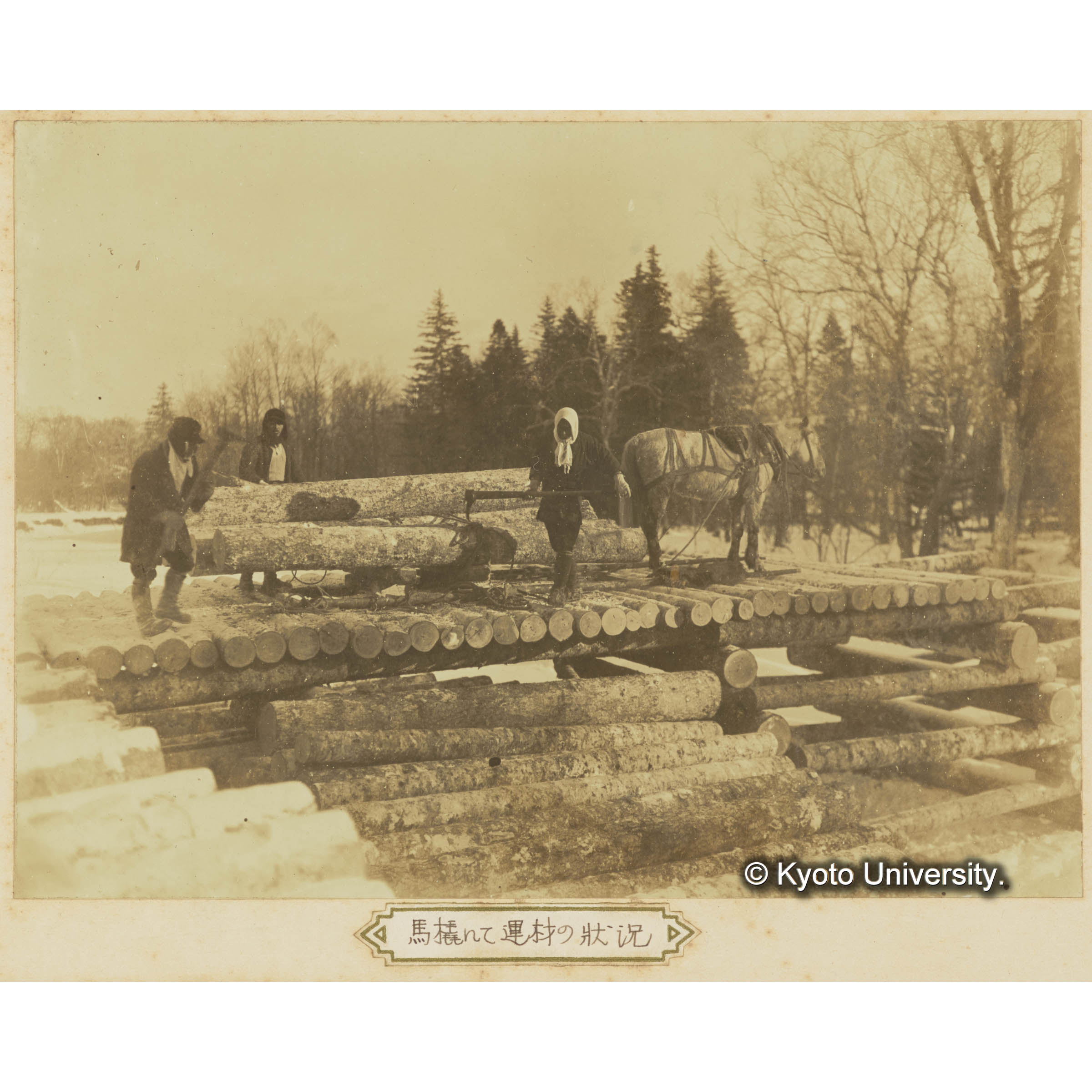 馬橇にて運材の状況 (3)