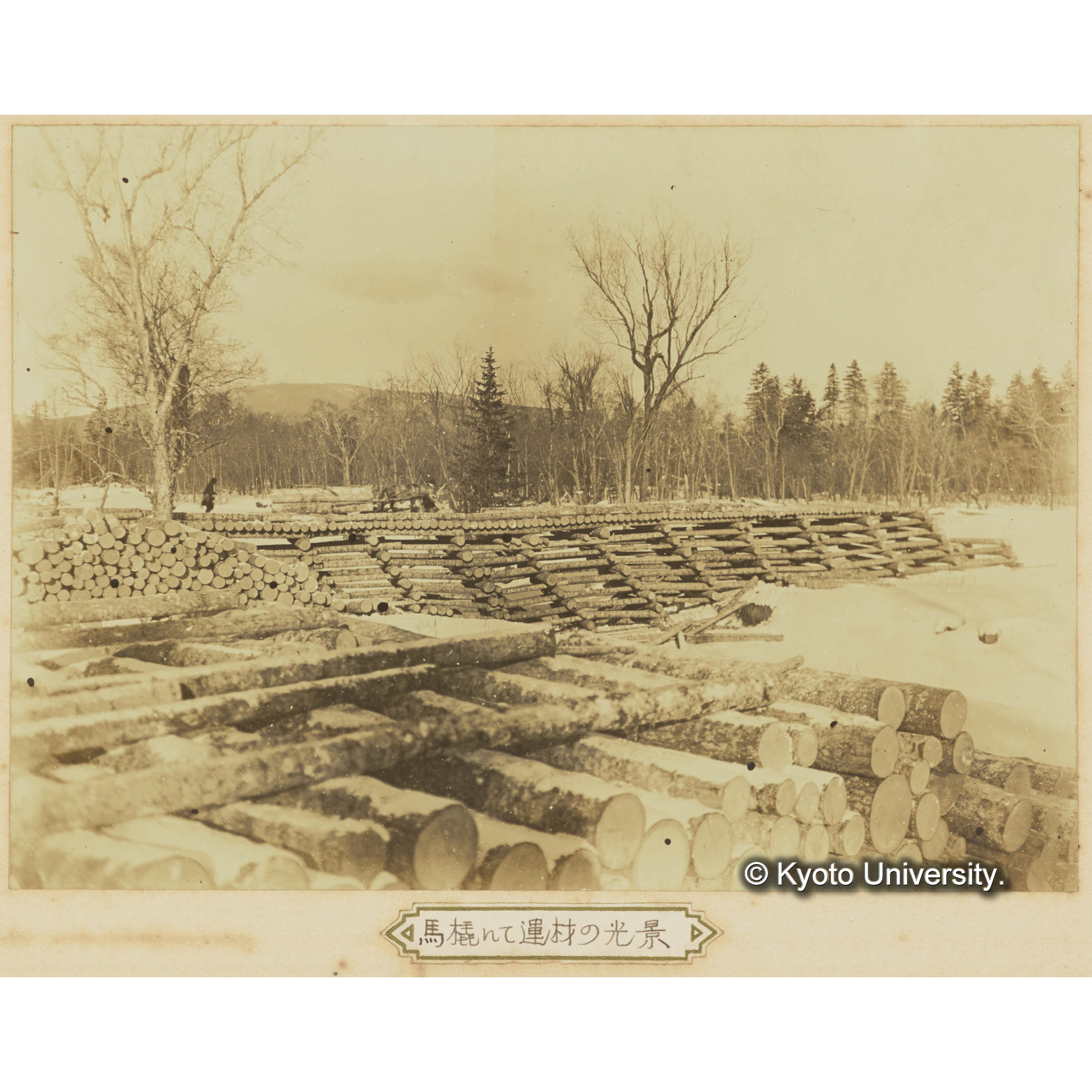 馬橇にて運材の状況 (3)