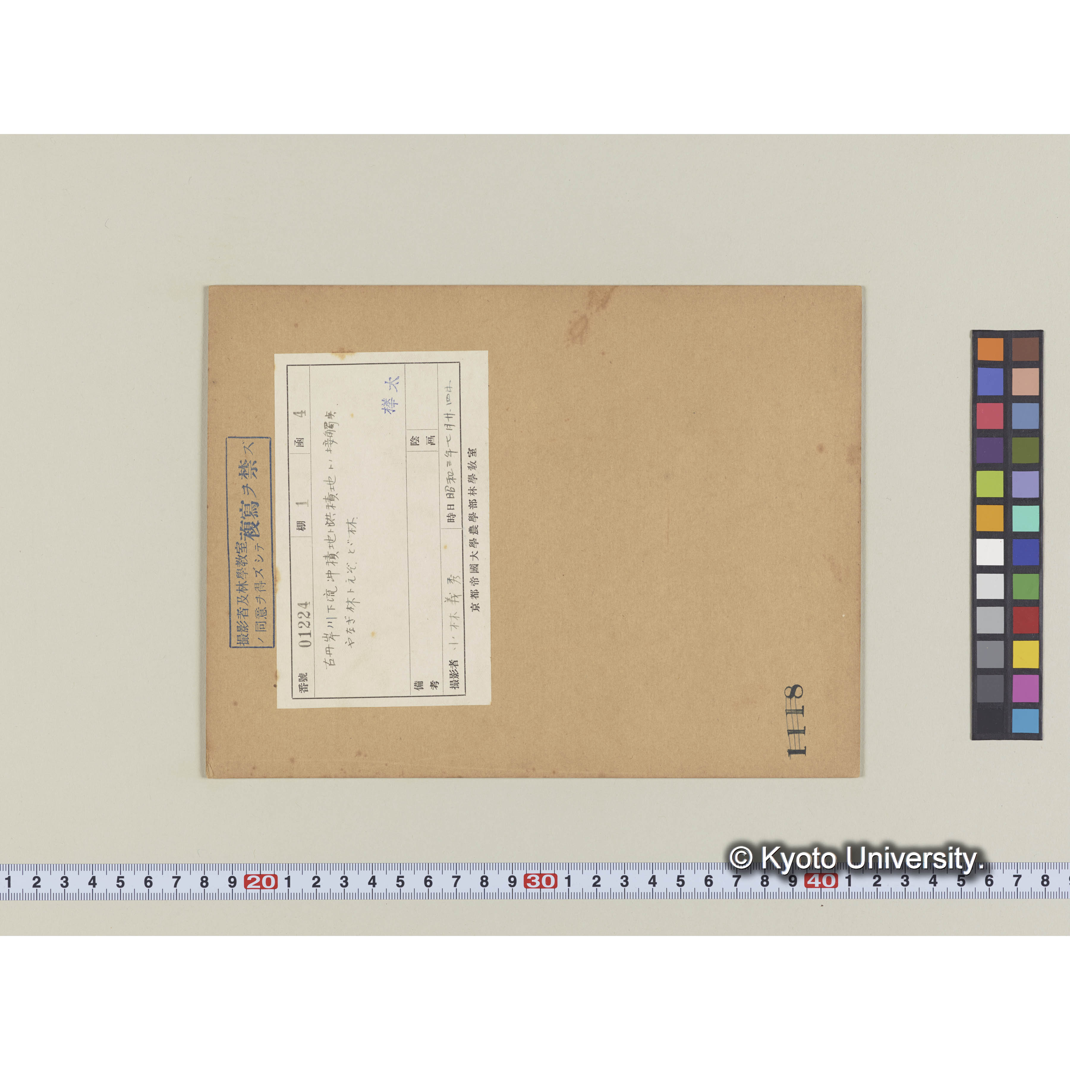 古丹岸川下流沖積地と洪積地との接触点。ヤナギ林とエゾ、トド林 (1)