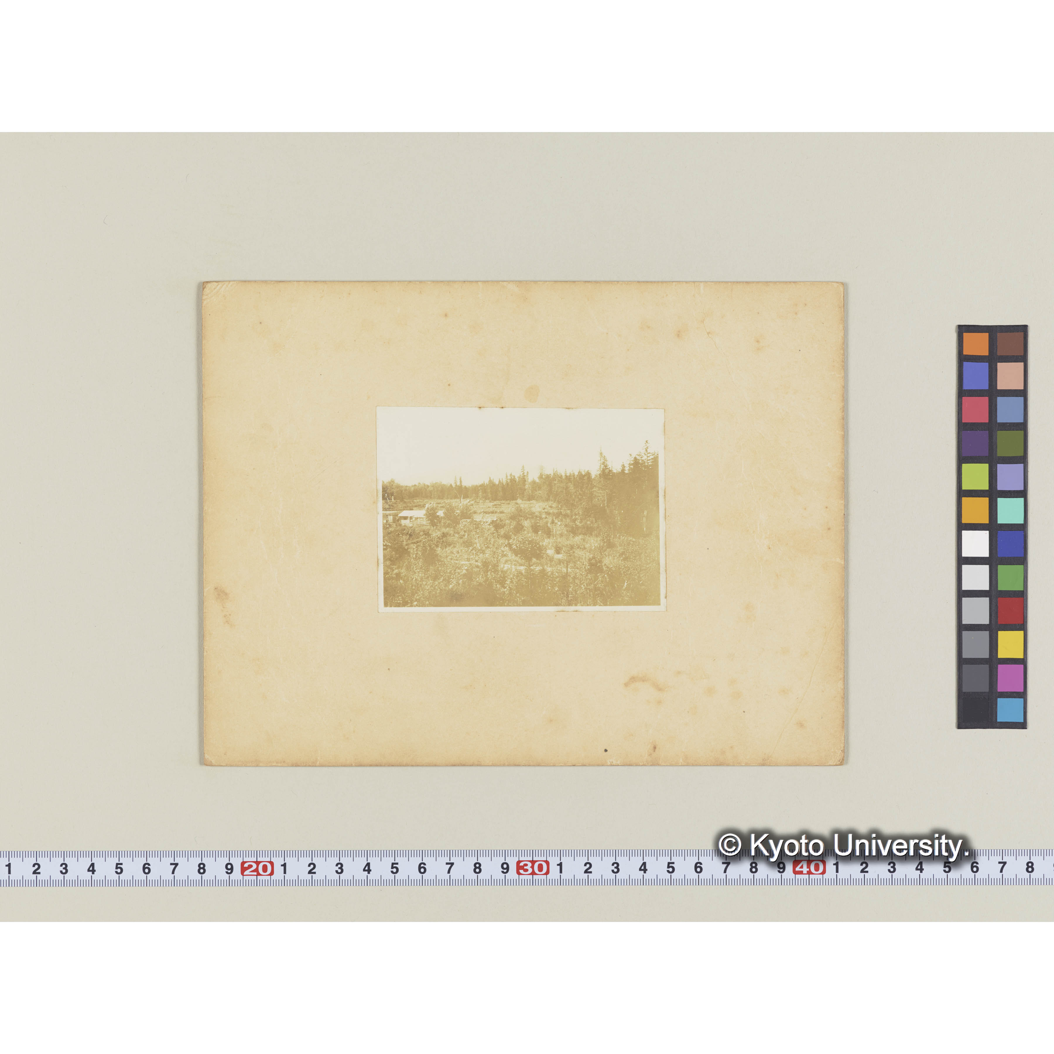 楠山作業所より農耕地を距てて別子走山を望む (1)