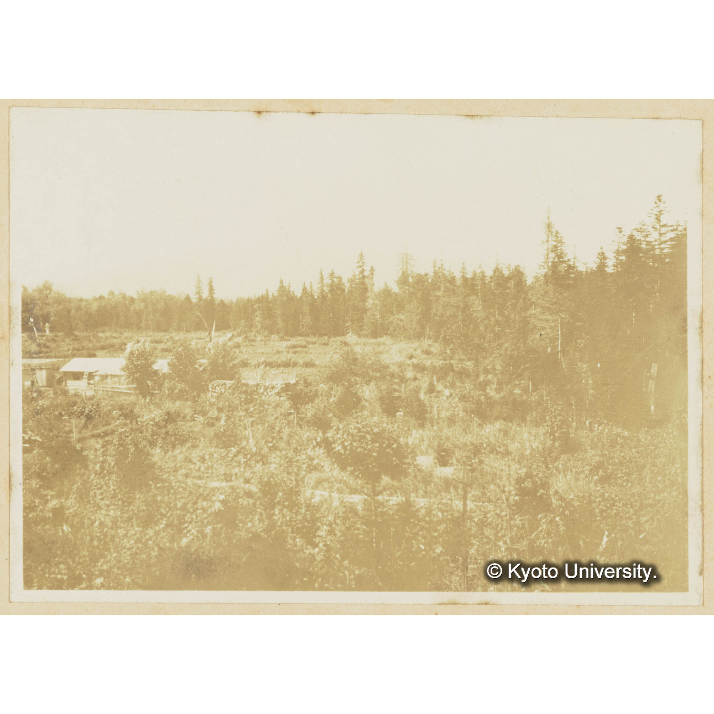 楠山作業所より農耕地を距てて別子走山を望む (3)