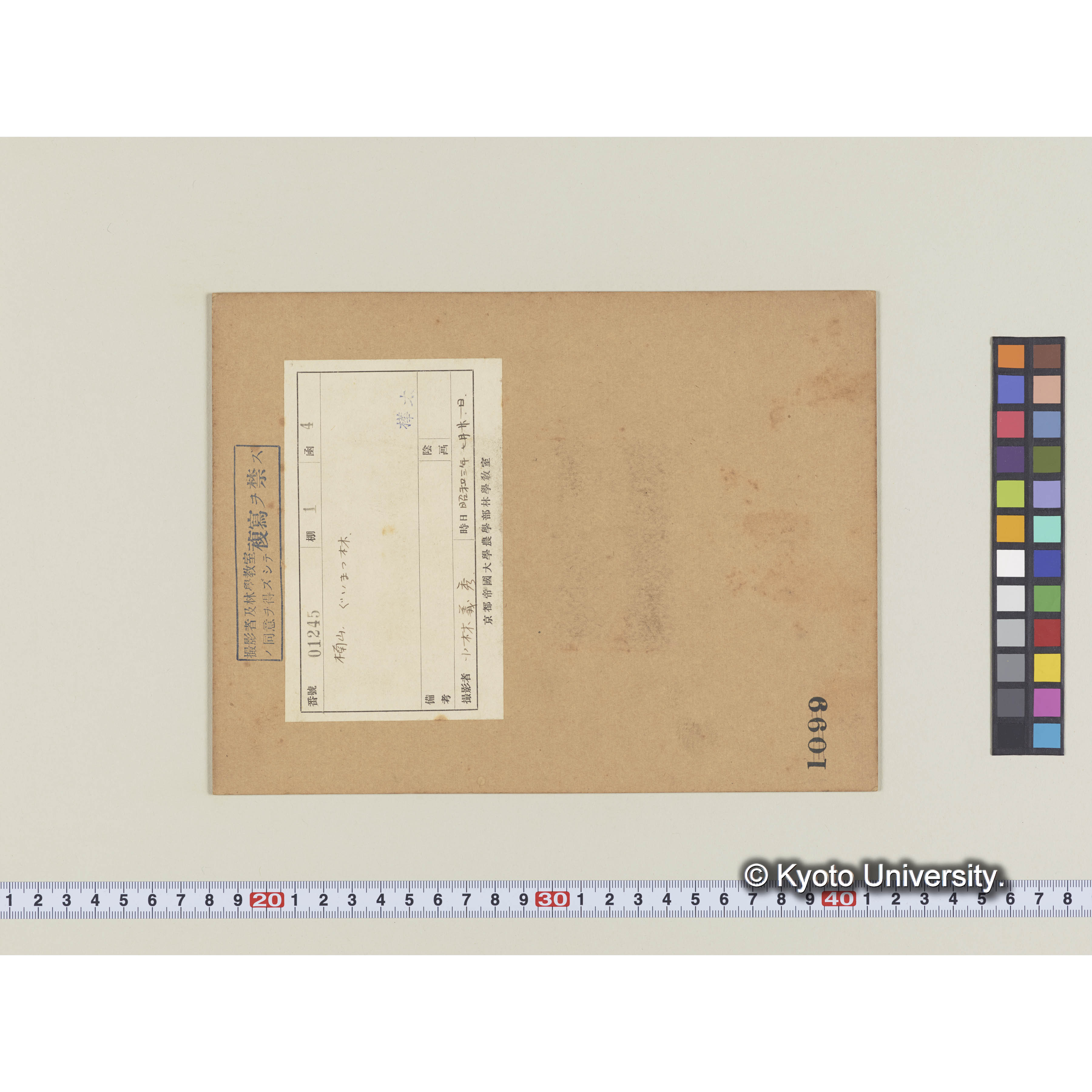 楠山。グイマツ林 (1)