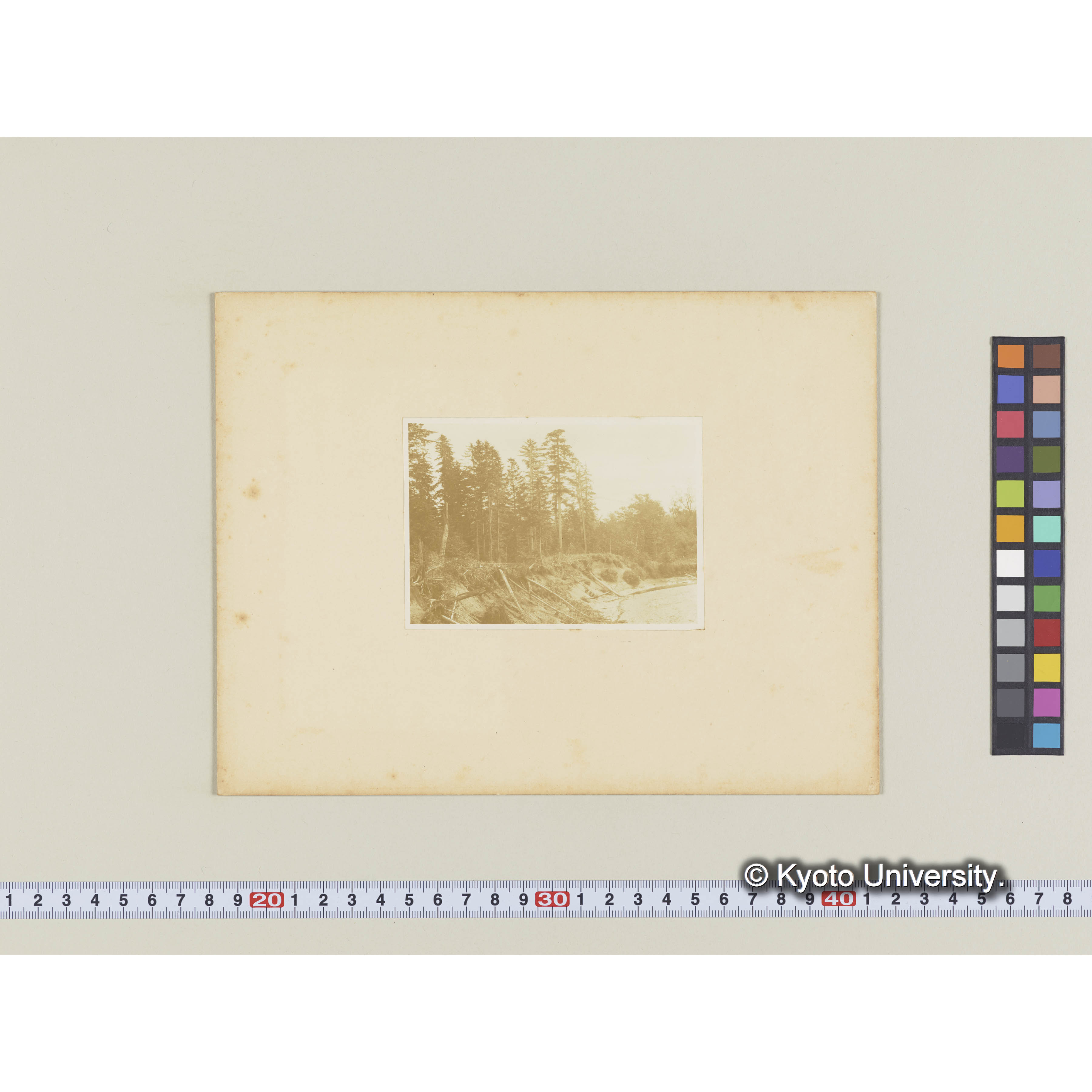 洪積地のエゾ、トド林と沖積地のヤナギ林及び洪積地の侵蝕された狀況 (1)