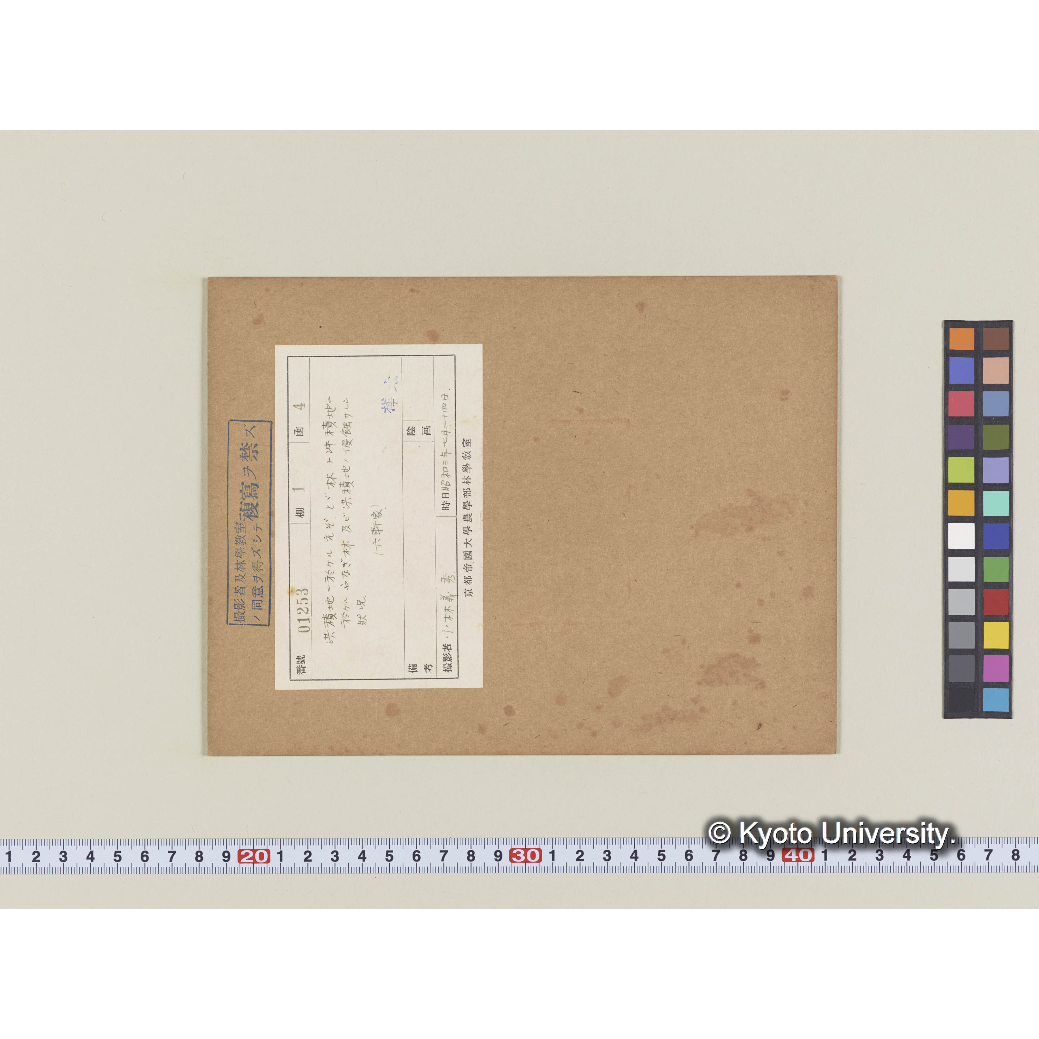 洪積地のエゾ、トド林と沖積地のヤナギ林及び洪積地の侵蝕された狀況 (2)