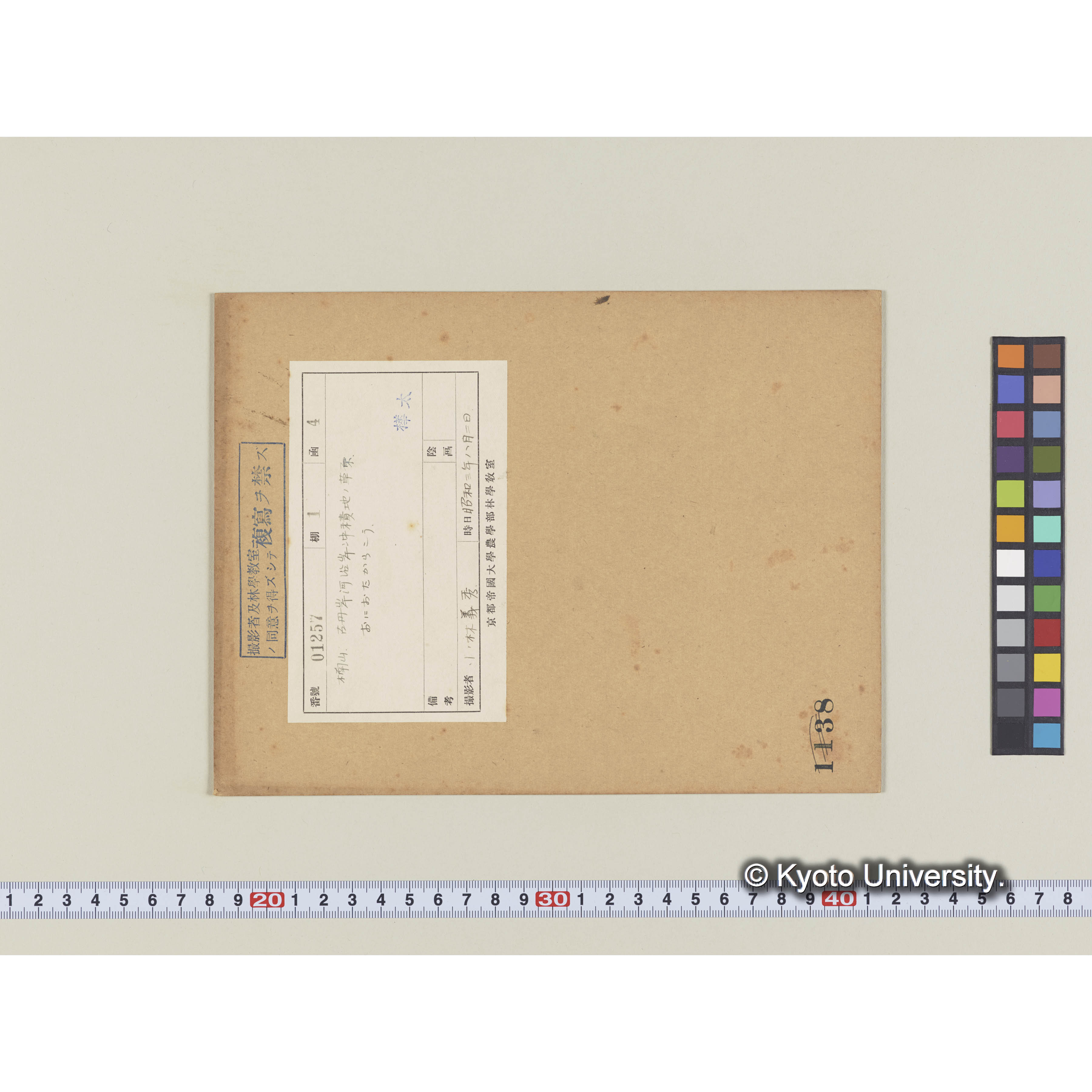 楠山。古丹岸河沿岸沖積地の草原。オニオタカラコウ (2)