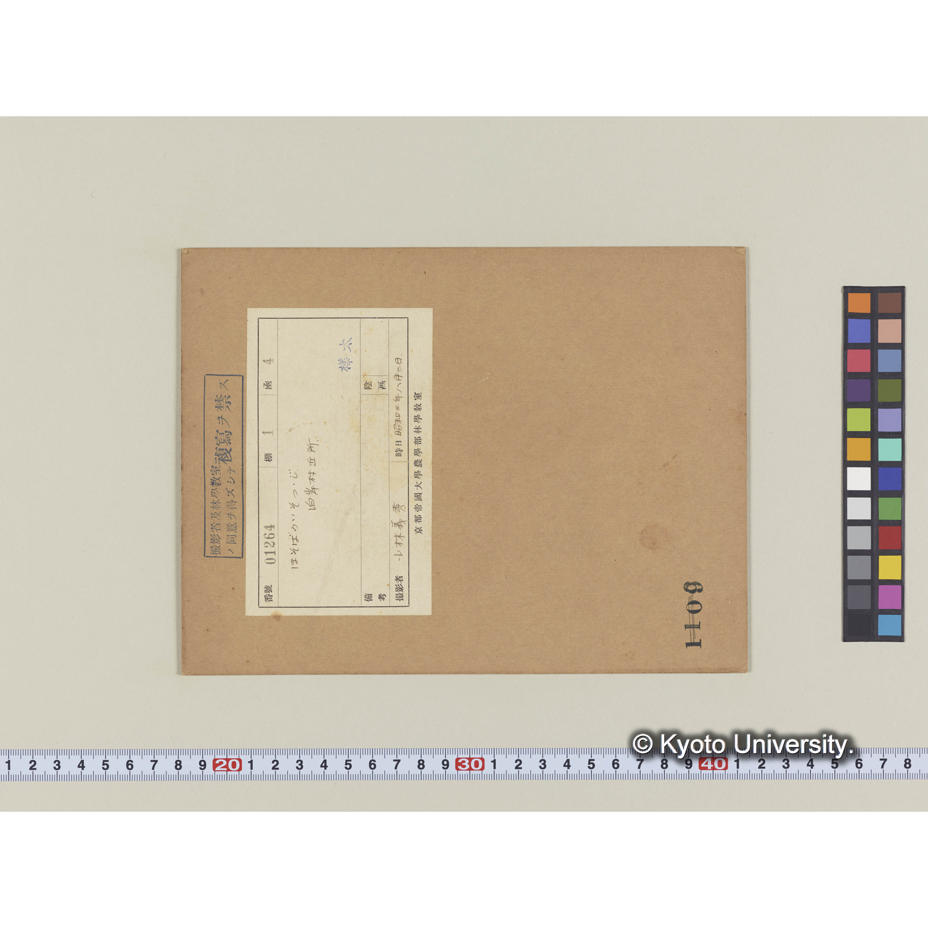 ホソバノイソツツジ。泊岸村近所 (2)