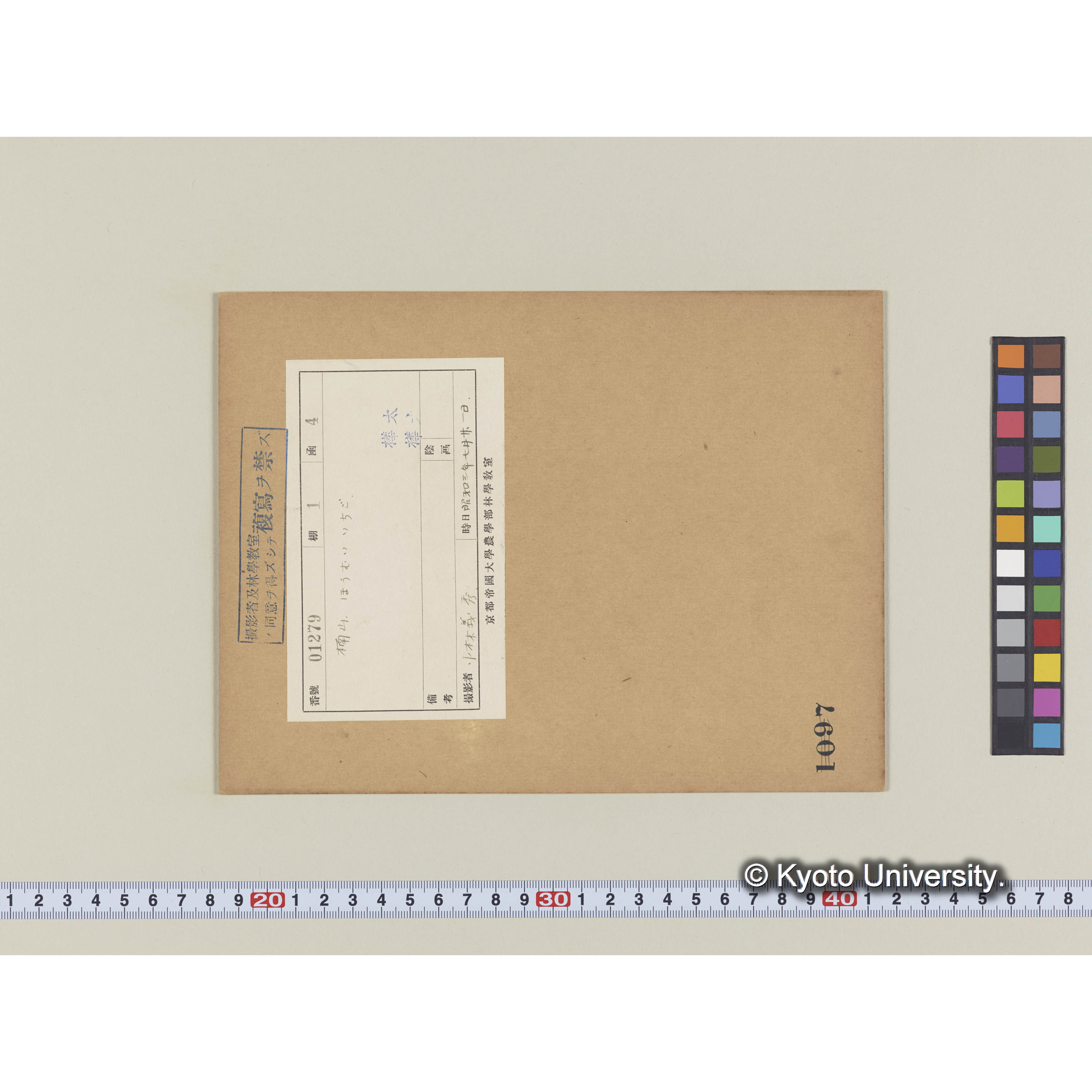 楠山。ホロムイイチゴ (2)