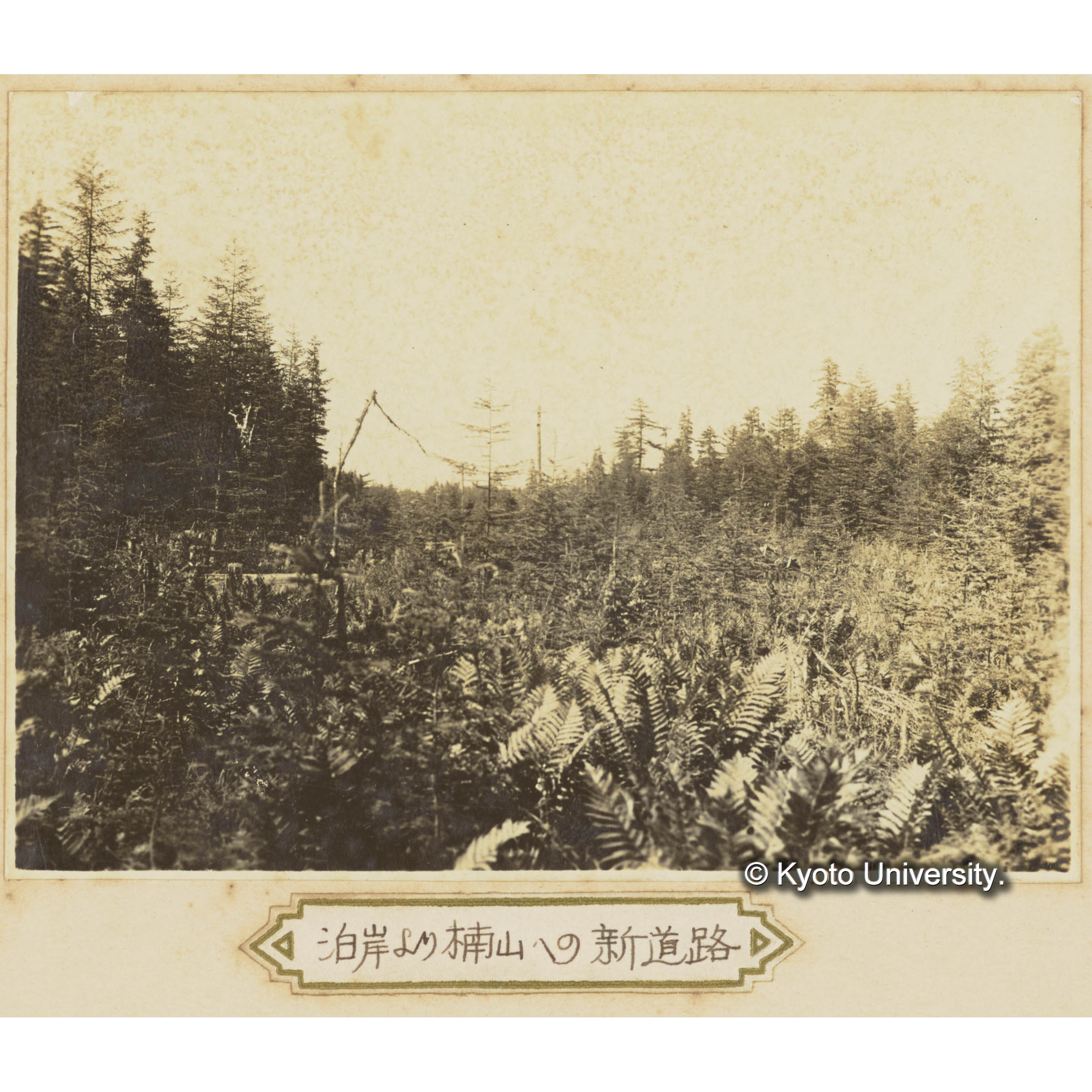 泊岸より楠山への新道路 (1)