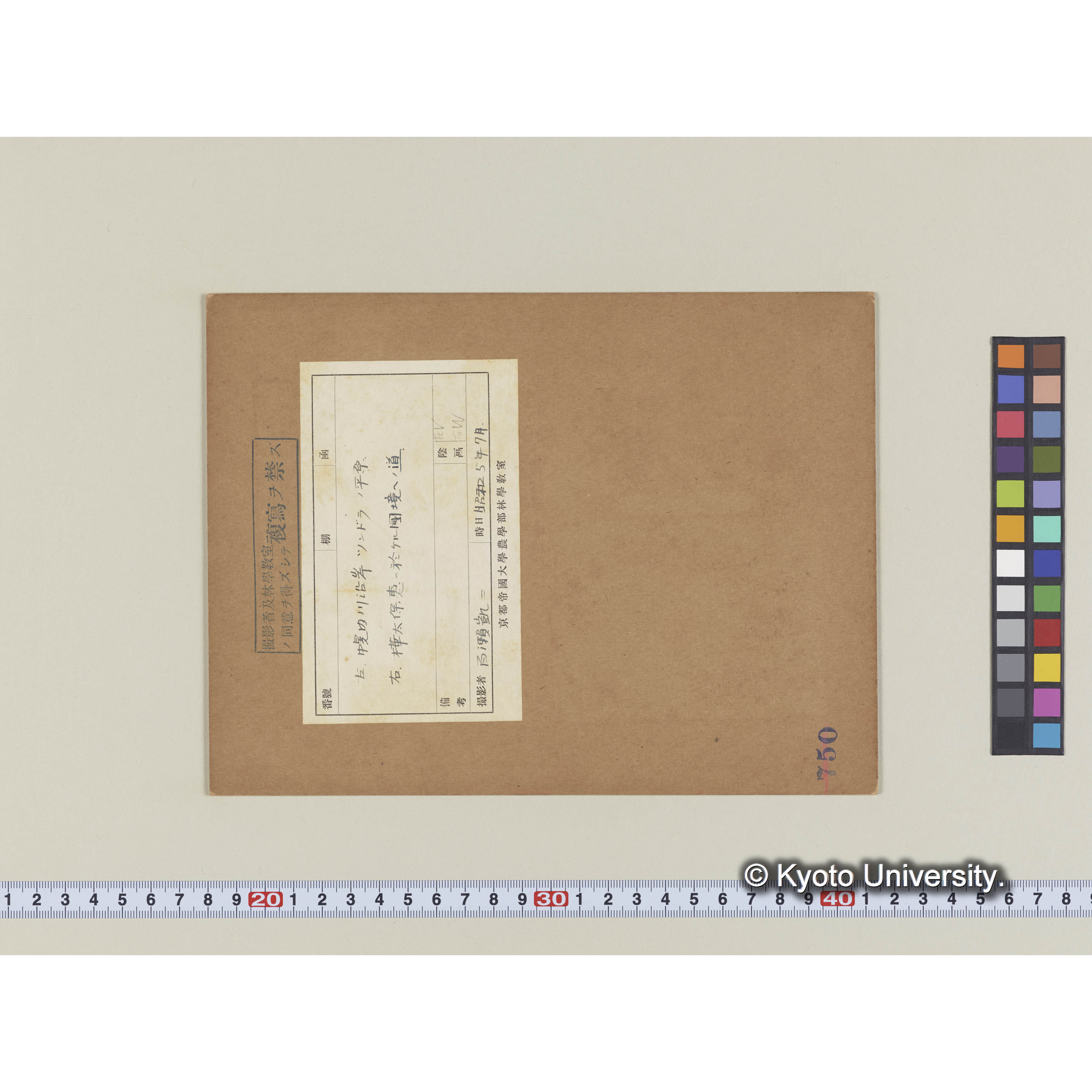 幌内川沿岸ツンドラの平原 (1)