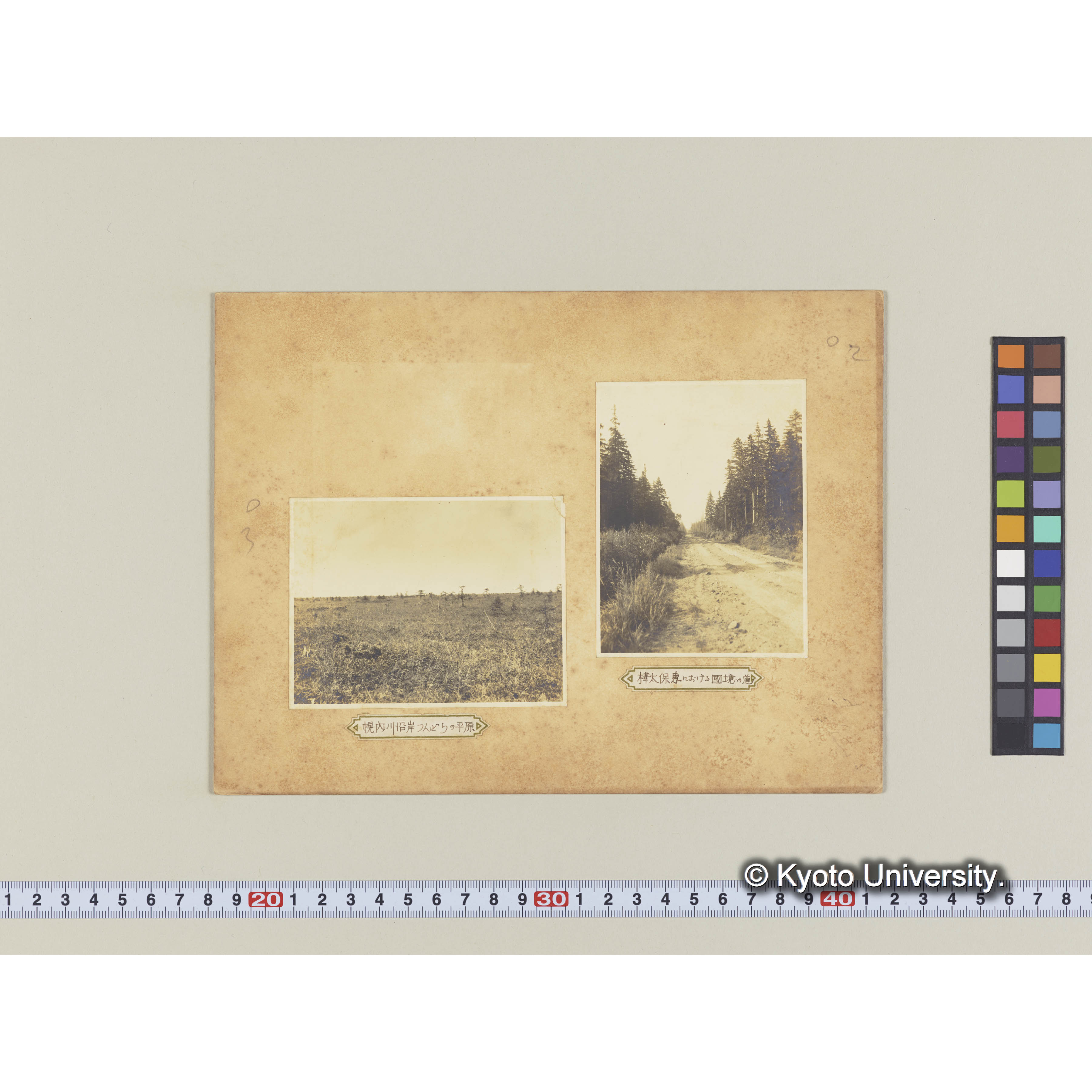 幌内川沿岸ツンドラの平原 (2)