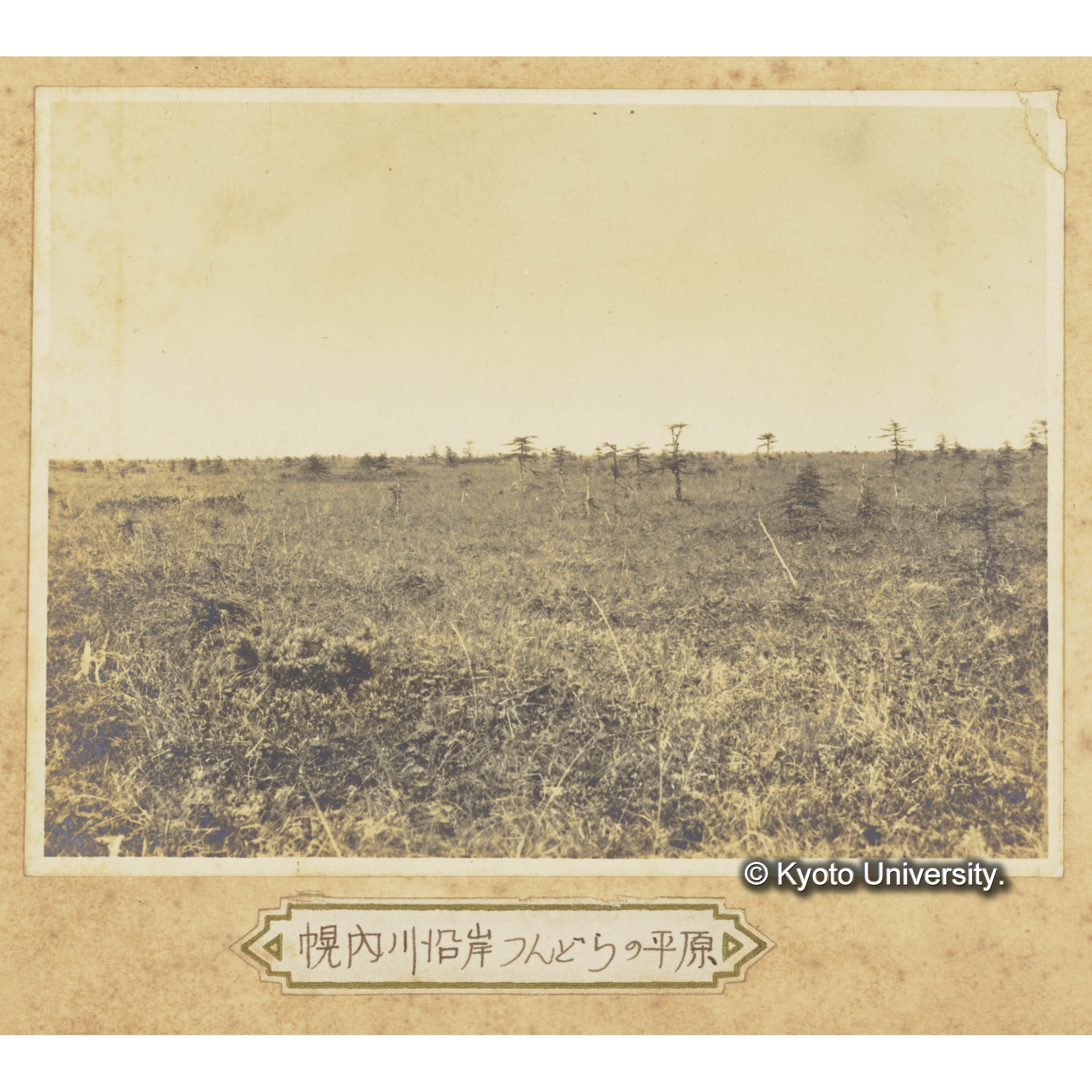 幌内川沿岸ツンドラの平原 (3)