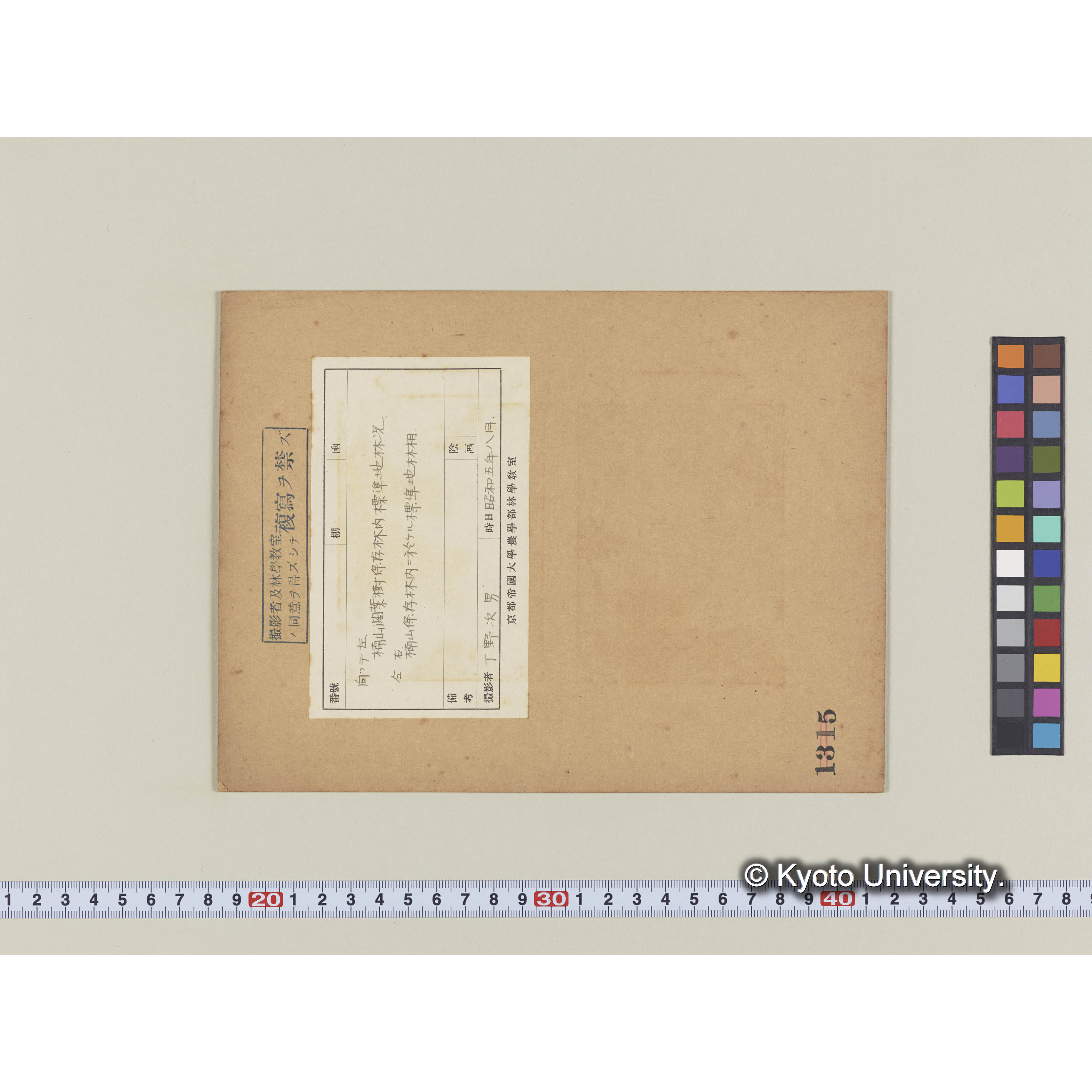 楠山保存林内の標準地 (1)