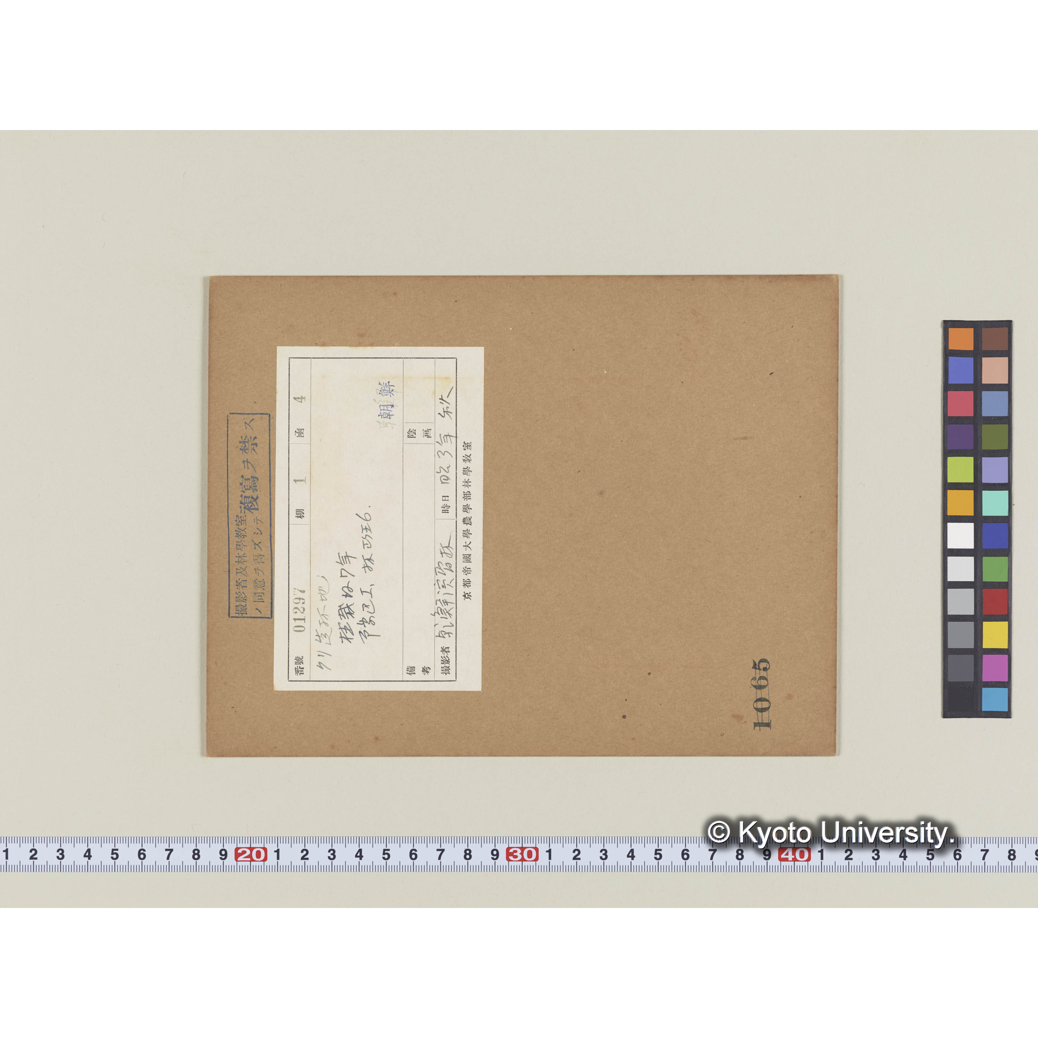 クリ造林地　植栽後7年　事業区I、林班6 (1)