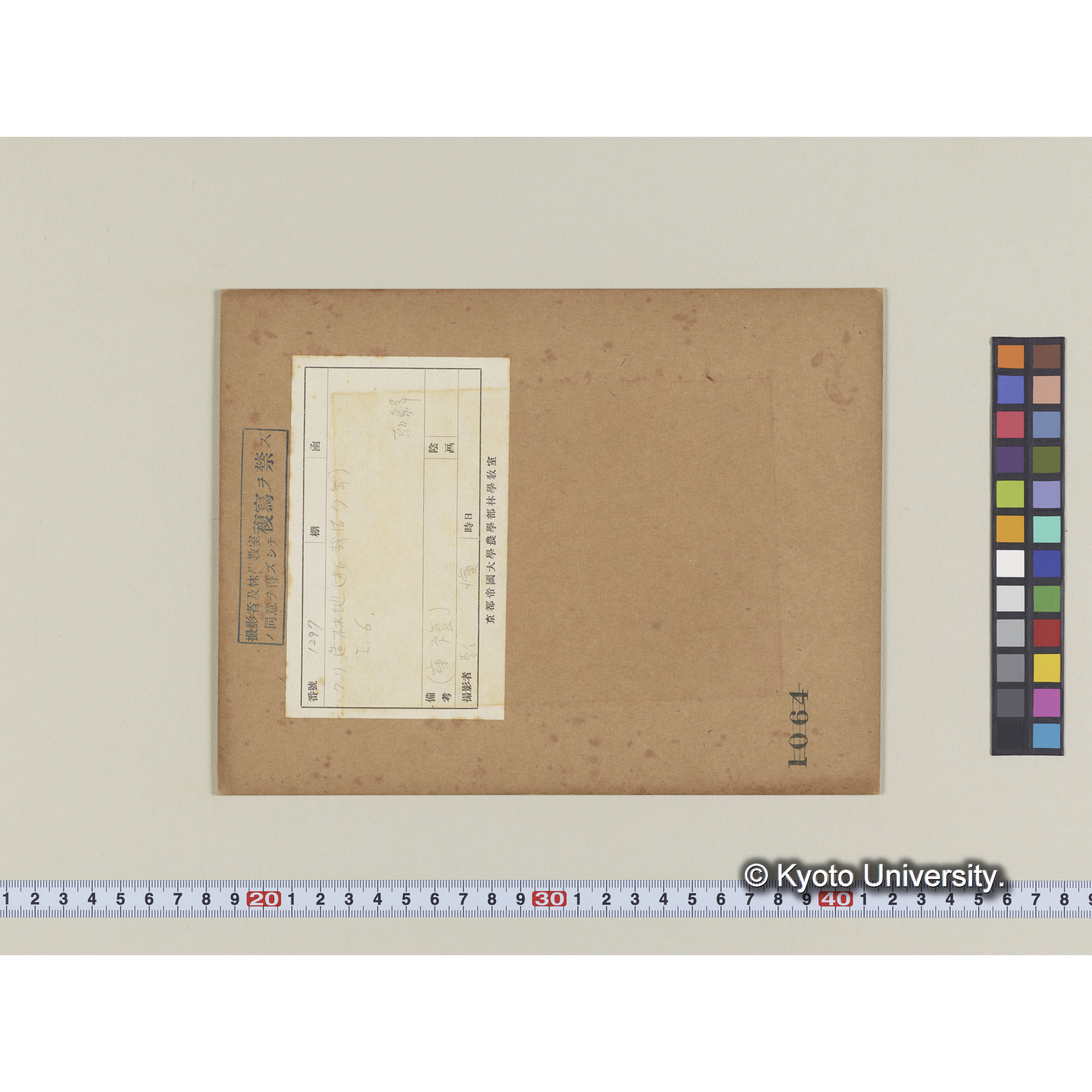 クリ造林地 (植栽後7年) I、6 (1)