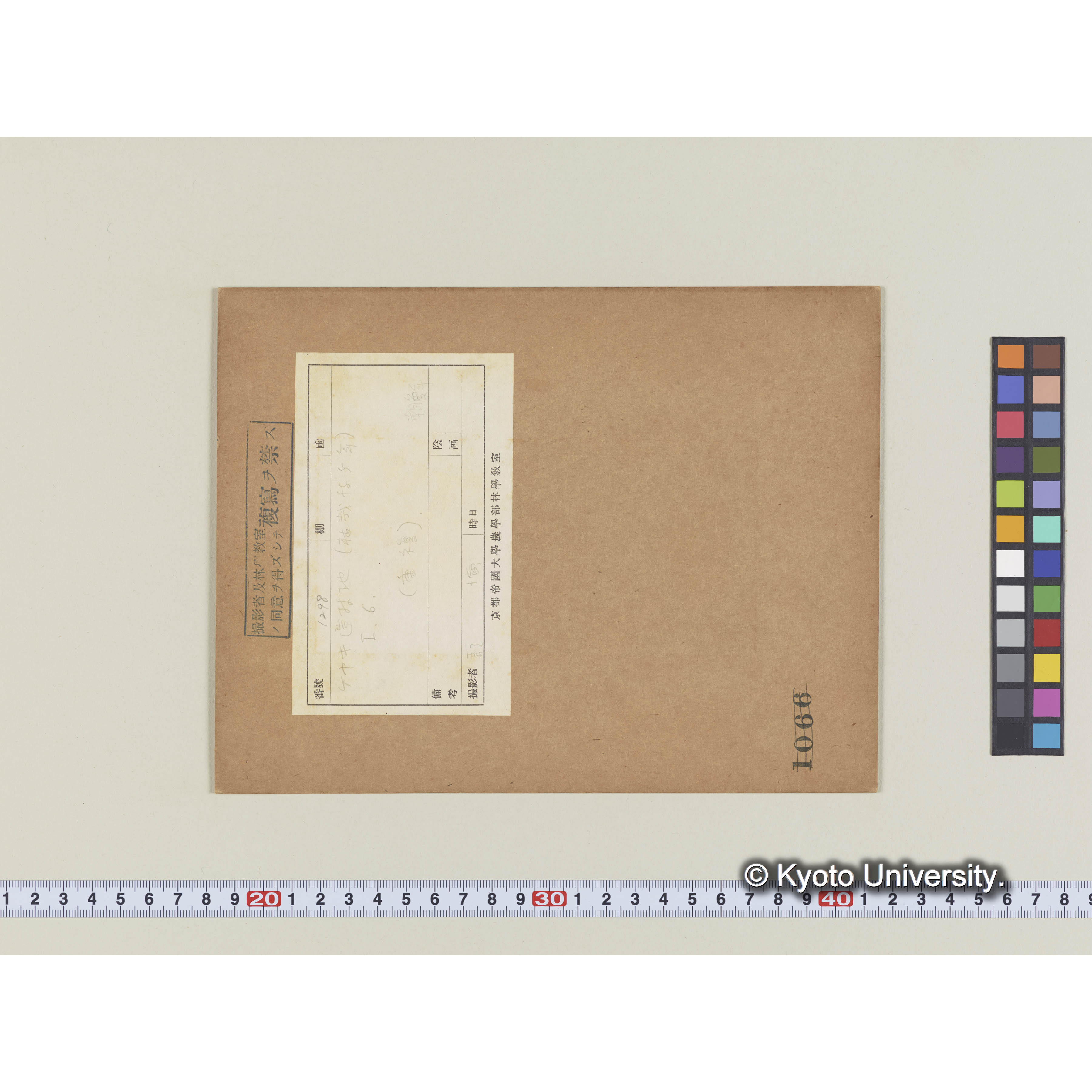 ケヤキ造林地　(植栽後5年)　I、6 (2)