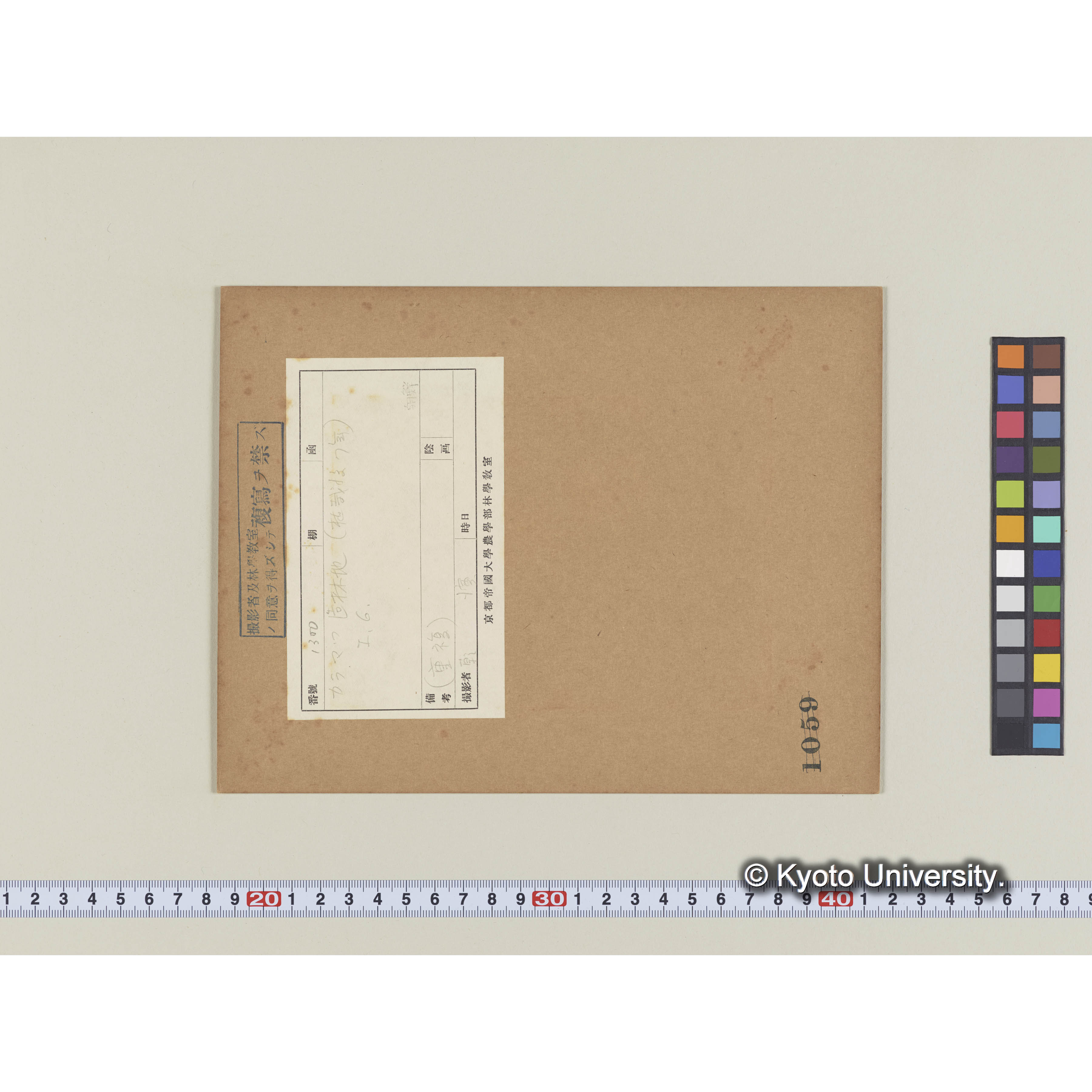 カラマツ造林地　(植栽後7年)　I,　6 (1)