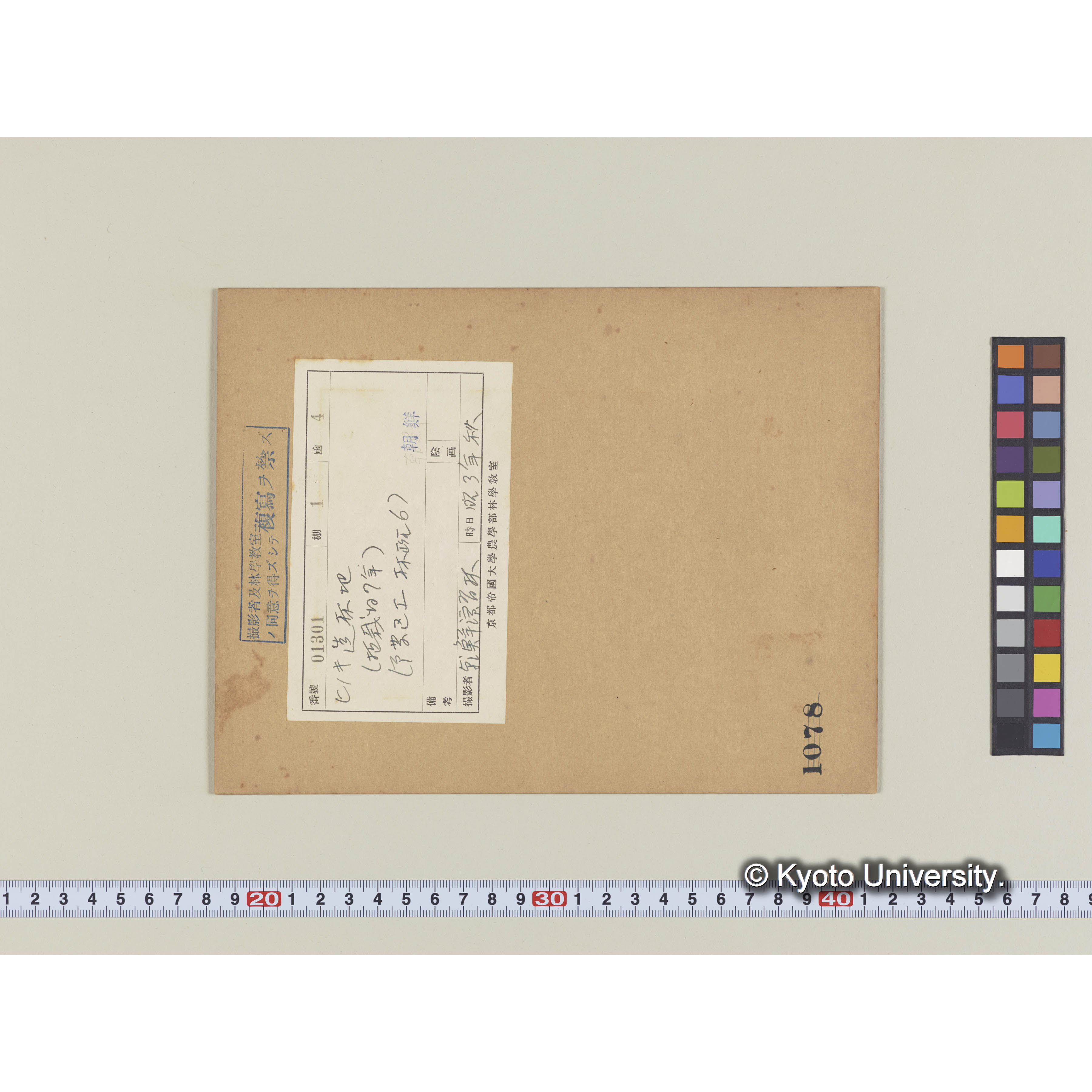 ヒノキ造林地　(植栽後7年)　(事業区I林班6) (2)