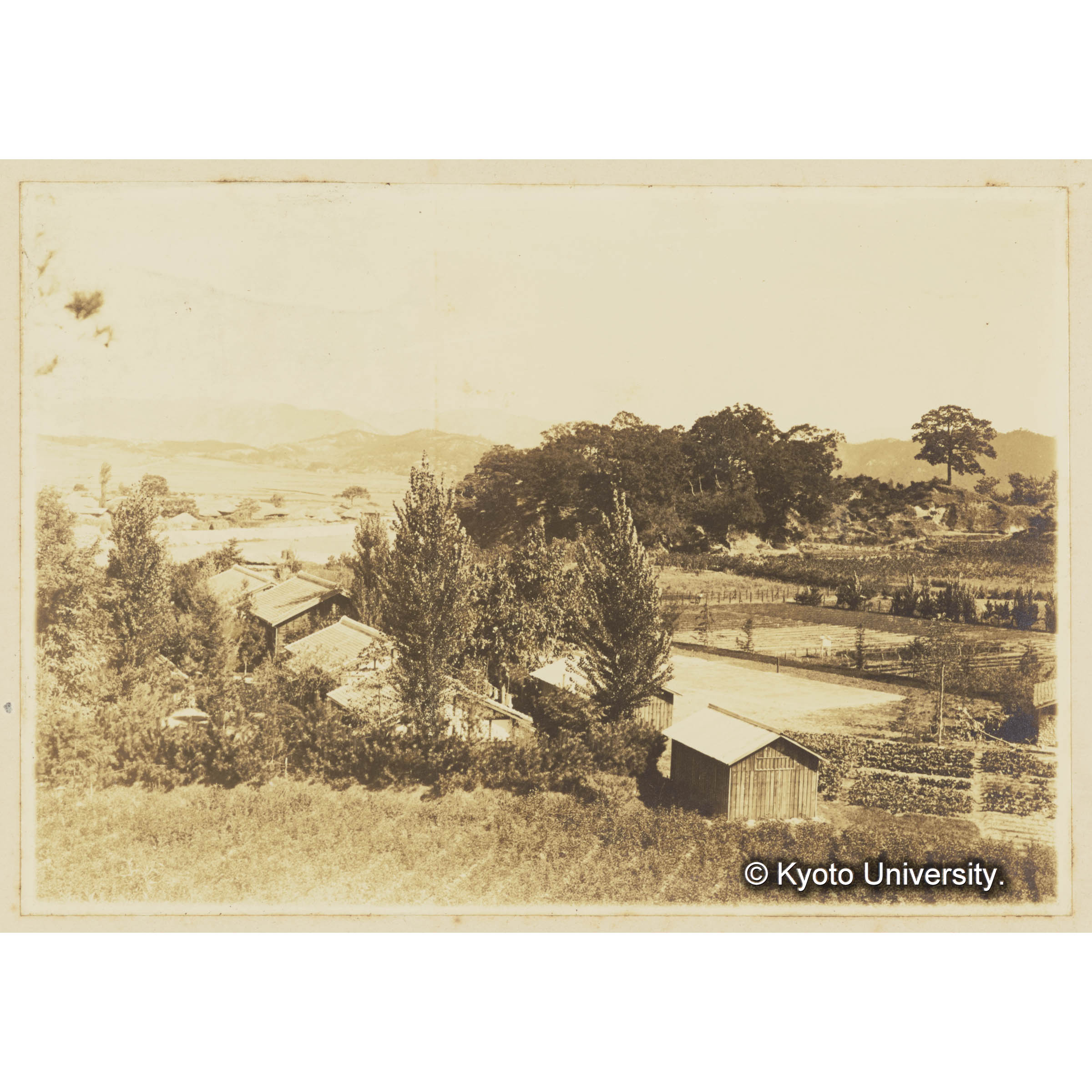 咸陽邑外の事務所及苗圃 (3)