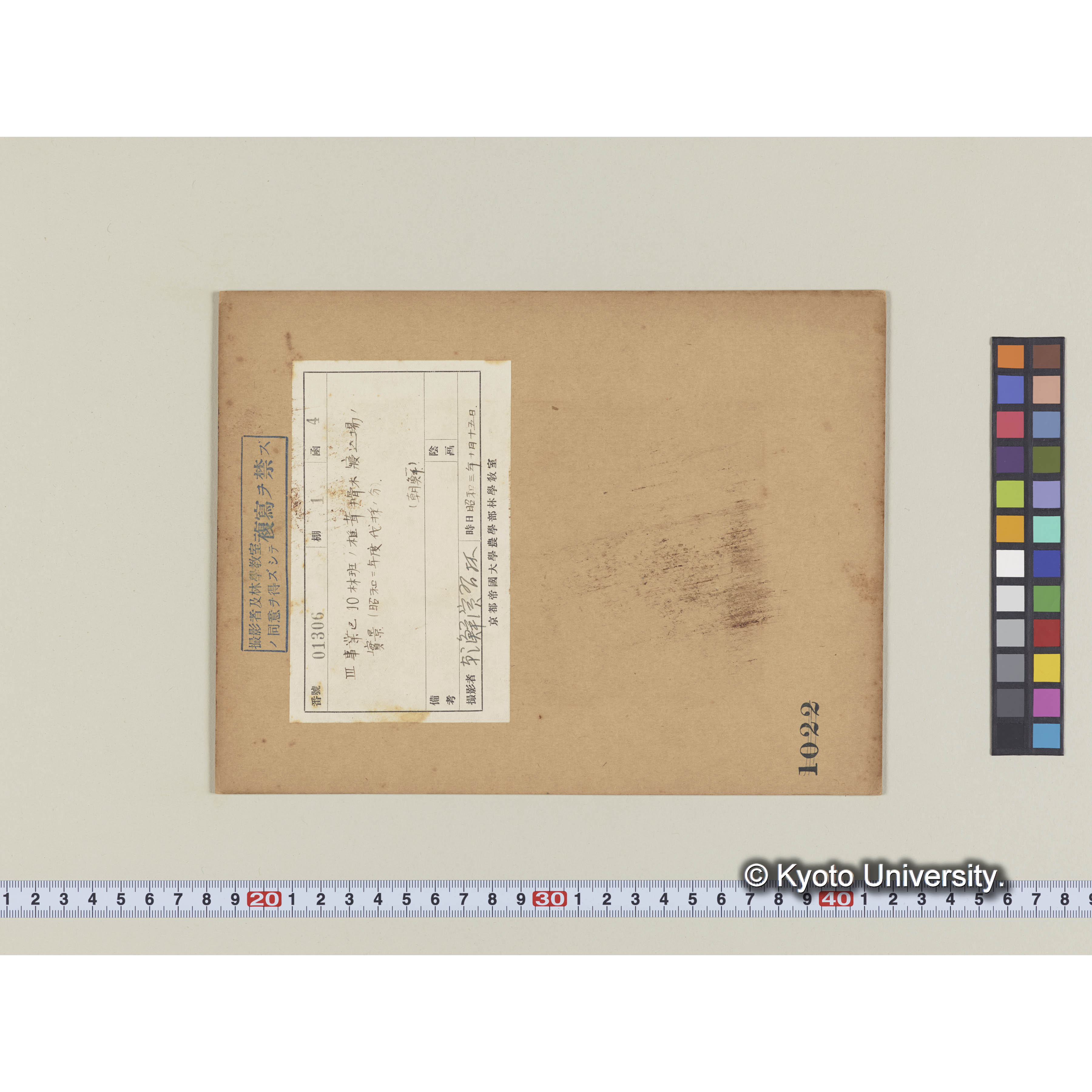 椎茸榾木寝込場　(昭2伐採) (1)