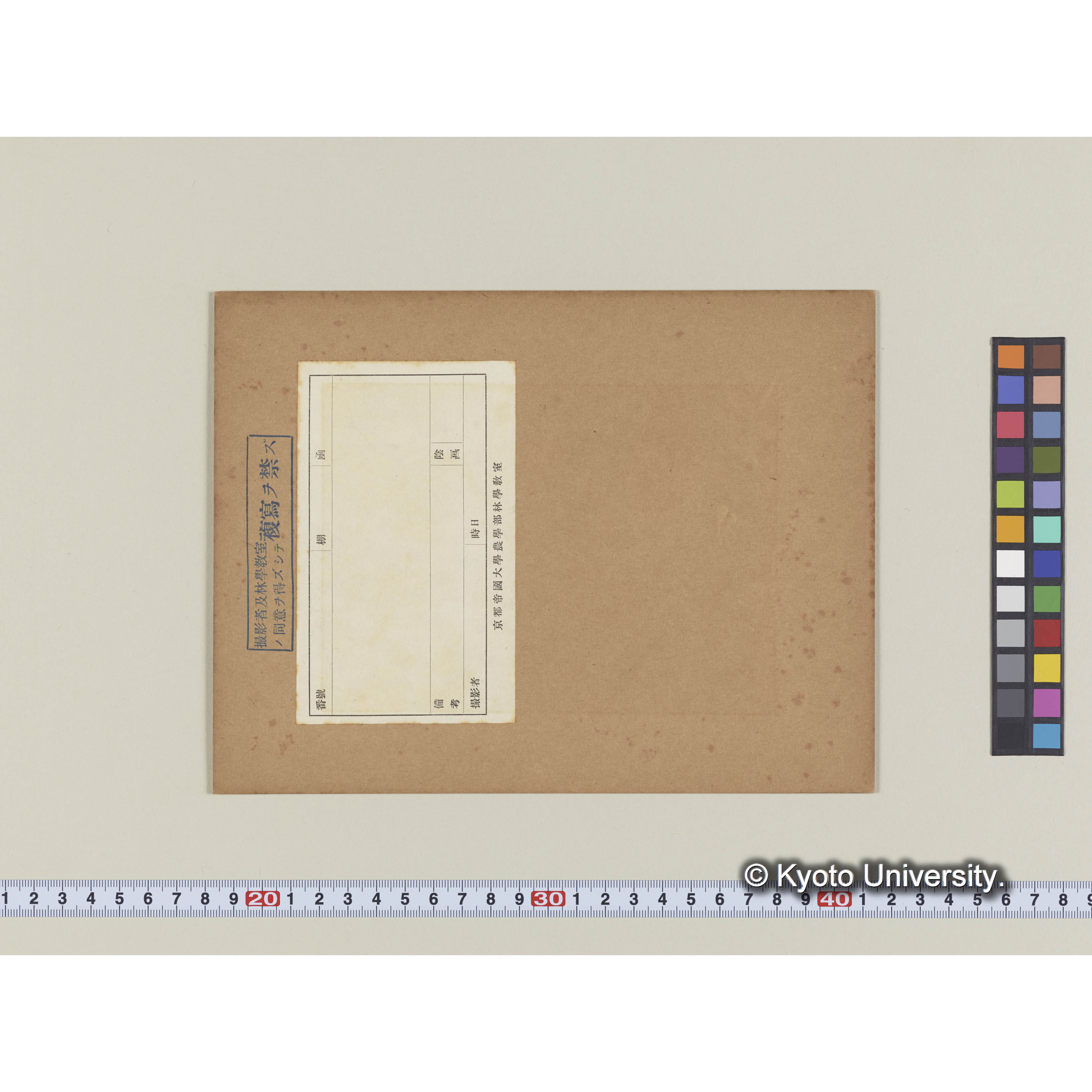 楸城里チュソンリ- (2)