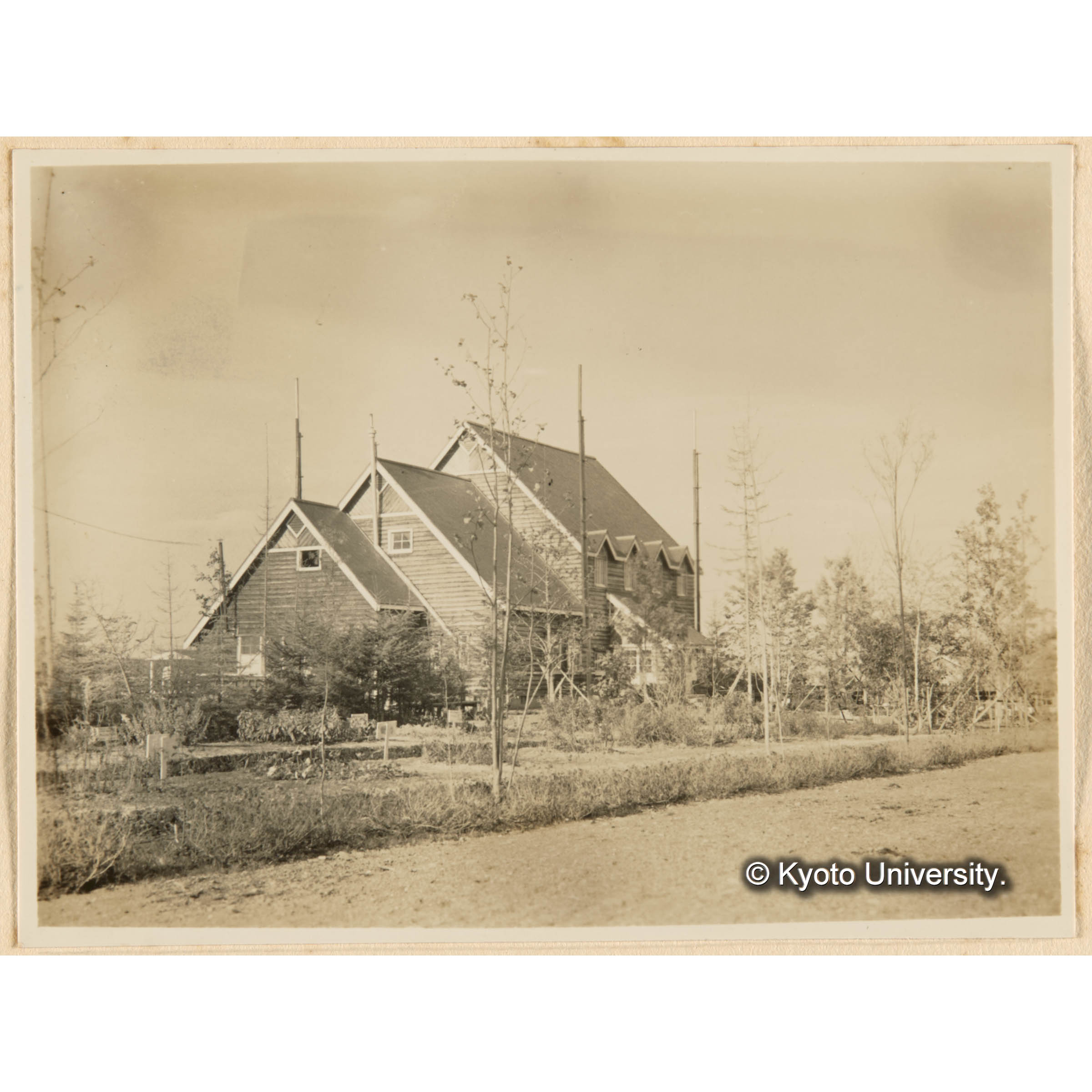 泊岸．演習林事務所 (1)