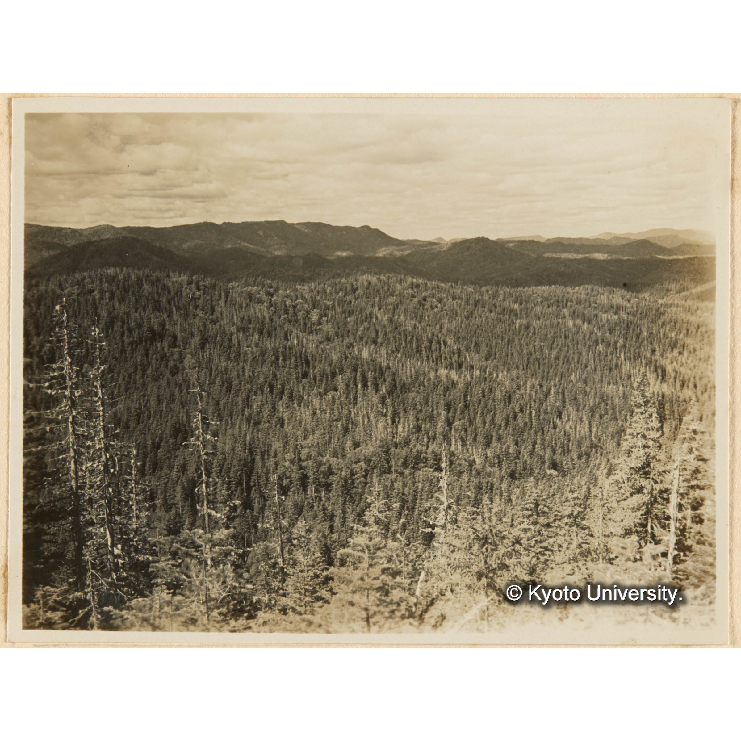 とら川、きばらり川、合流奌附近中山頂上ヨリ　西北方、きばらり川右岸流域 (1)