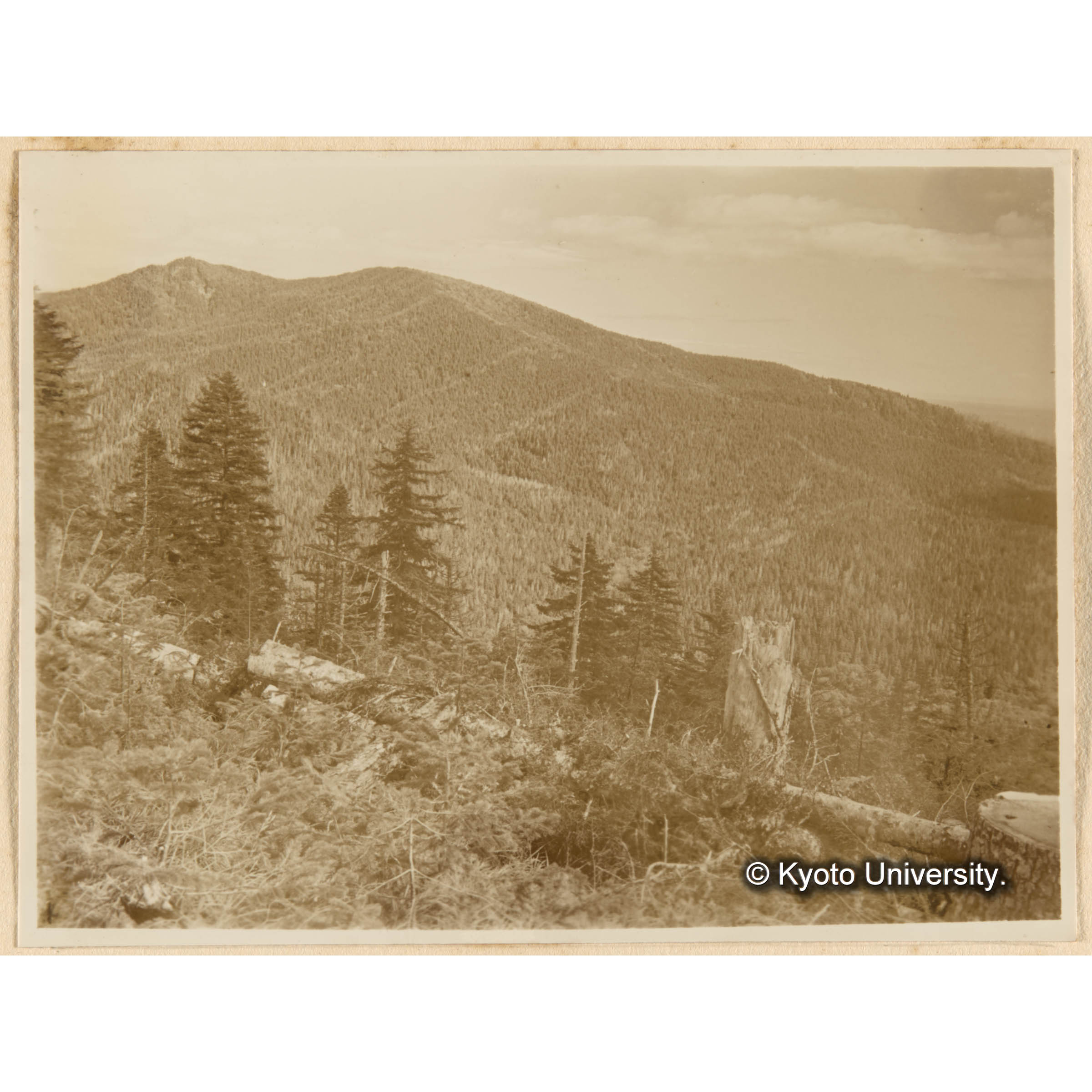 とら川、きばらり川、合流奌附近中山頂上ヨリ　東北方、別小走山西南面とつ川流域 (1)