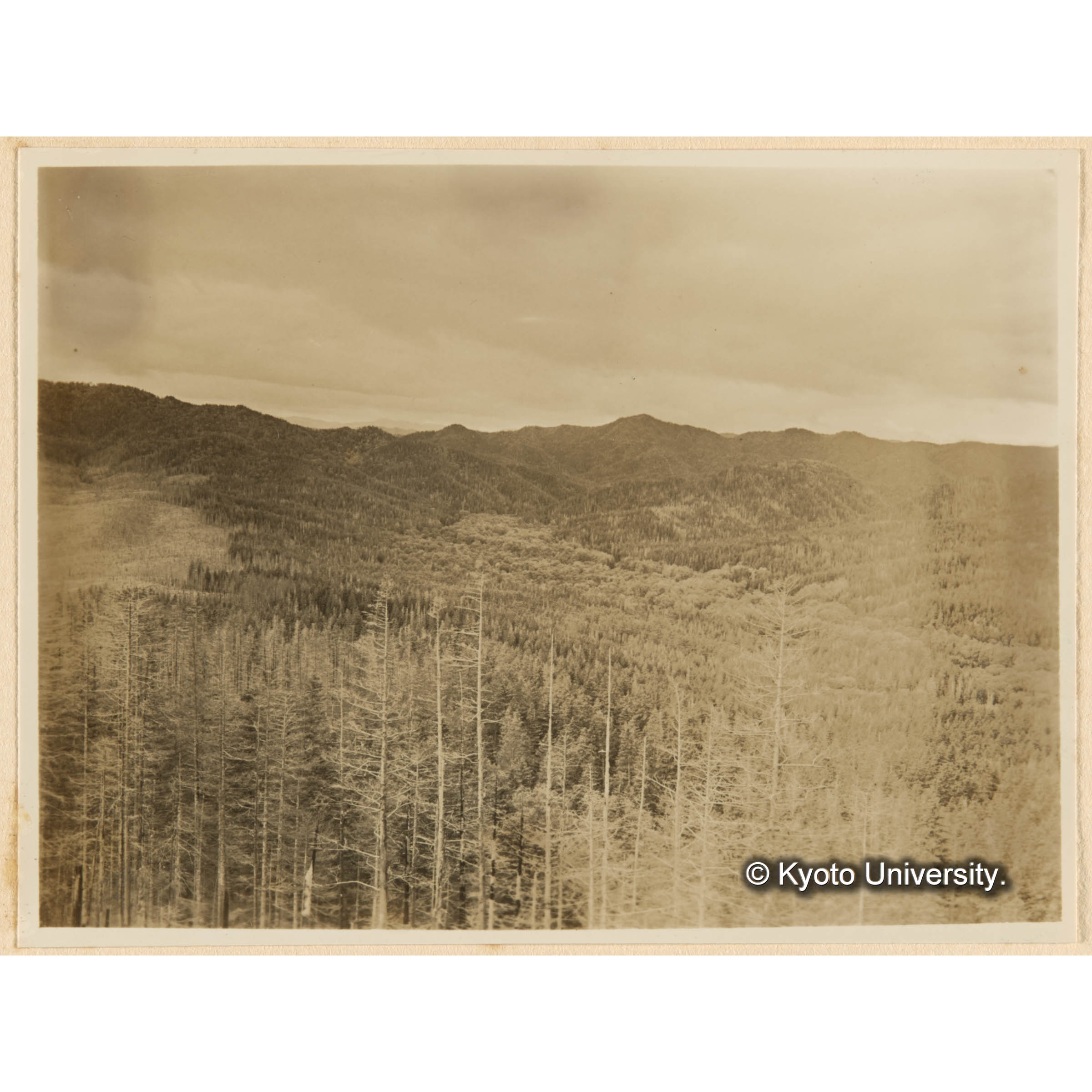 見晴望楼上ヨリとら川流域ヲ望ム、左方、白キハ焼跡地 (1)