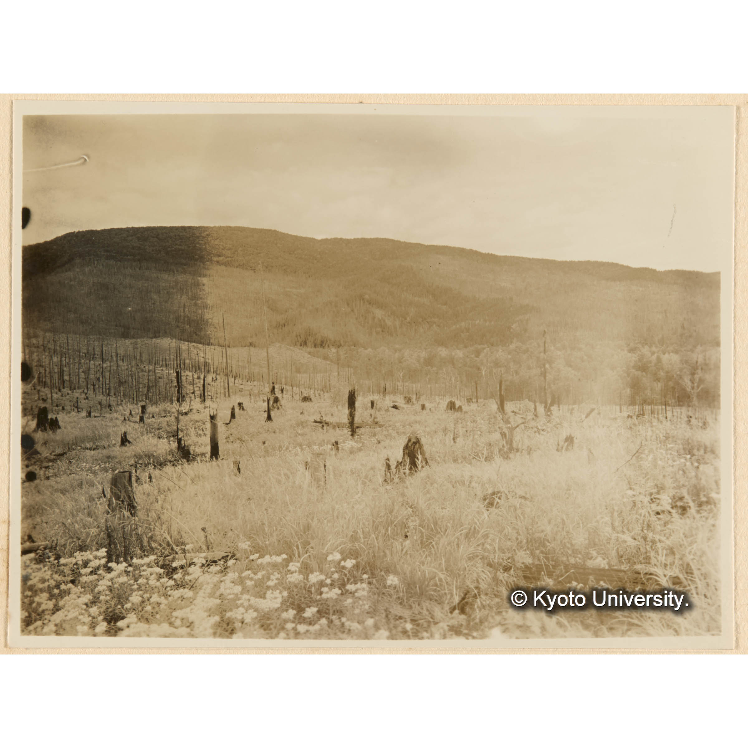 見晴山ヨリ別小走山ヲ望ム、両端白キハ焼跡地（伐跡地）中央黒キハ焼失ヲ免レタルえぞまつ、とどまつ天然林帯 (1)