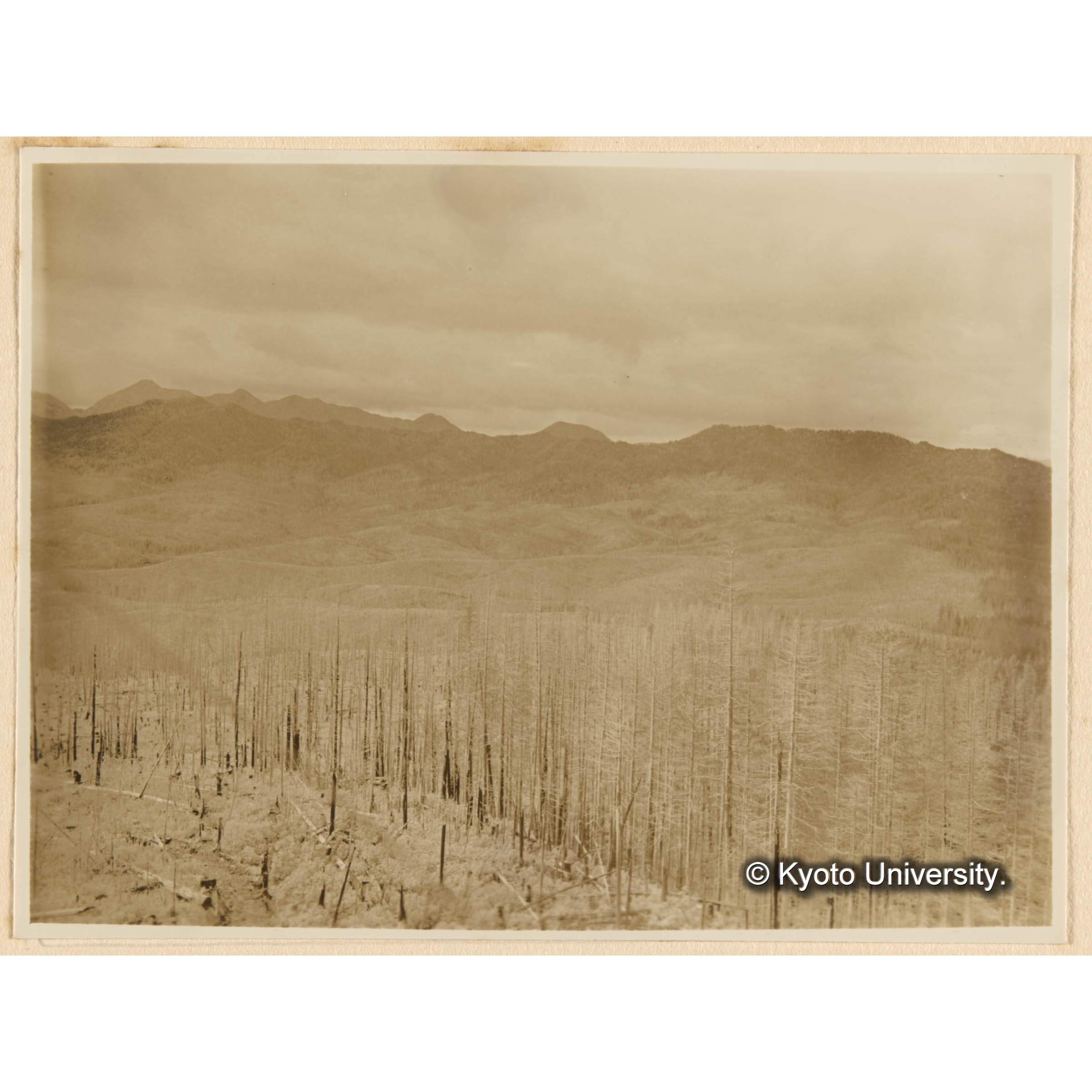 見晴望楼上ヨリ藤本川流域．焼跡地（前方）及天然林（後方）ヲ望ム (1)