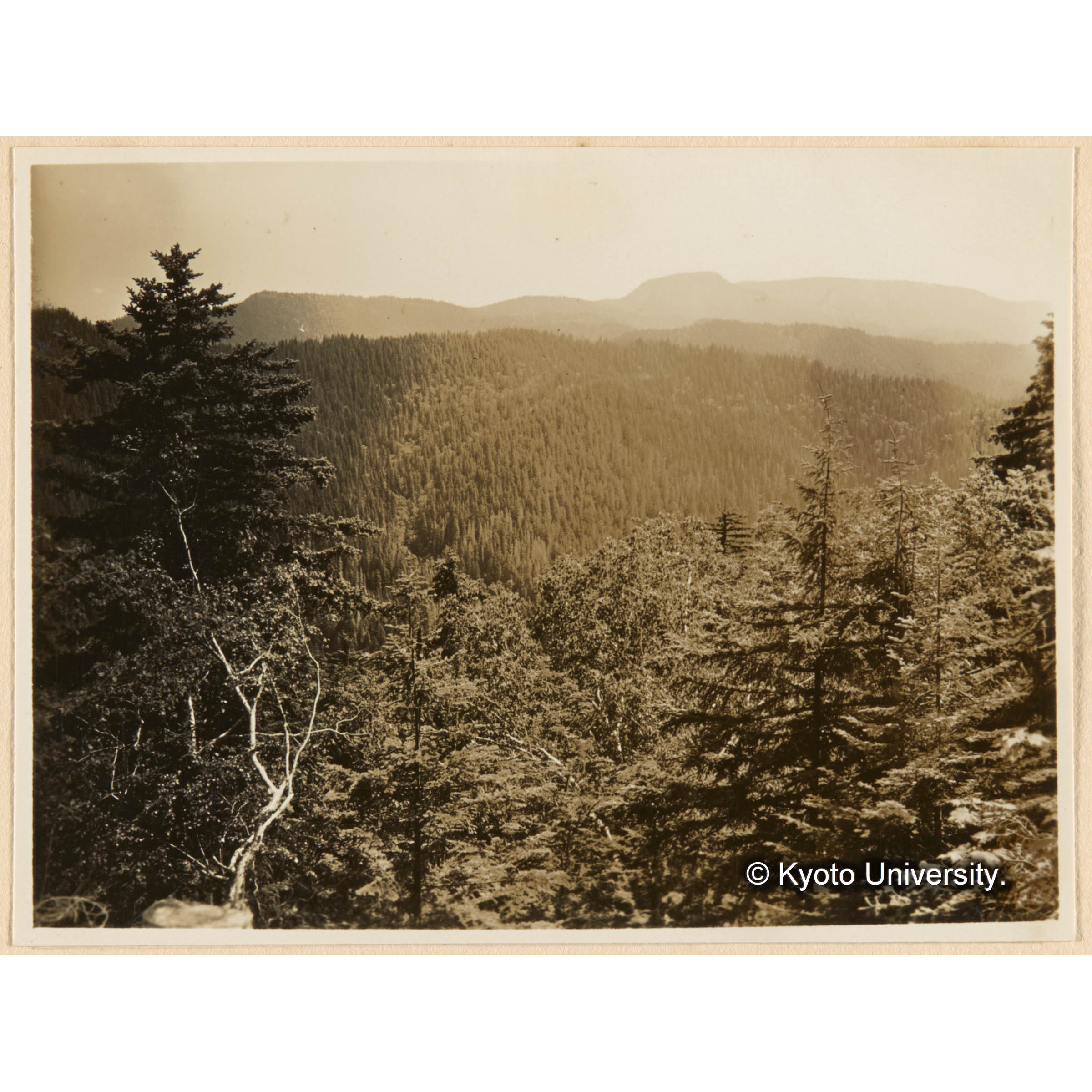 きばらり川東股．三角奌（海抜700m）ヨリ 德ノ沢背面－西北面林相－及別小走山ヲ望ム (1)