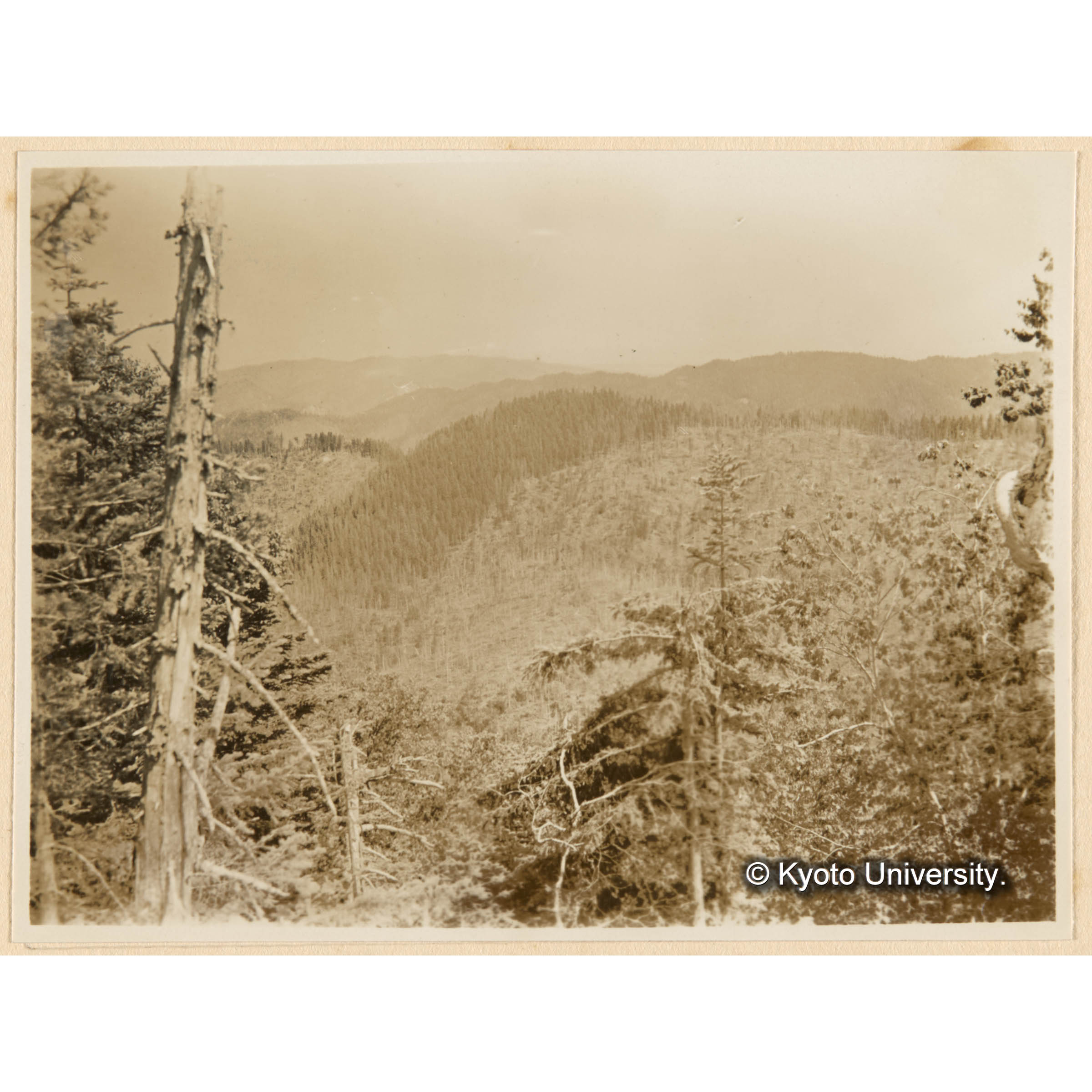 きばらり川東股．上流域三角奌ヨリ演習林ニ接スル内路、國有林、皆伐跡地ヲ望ム (1)