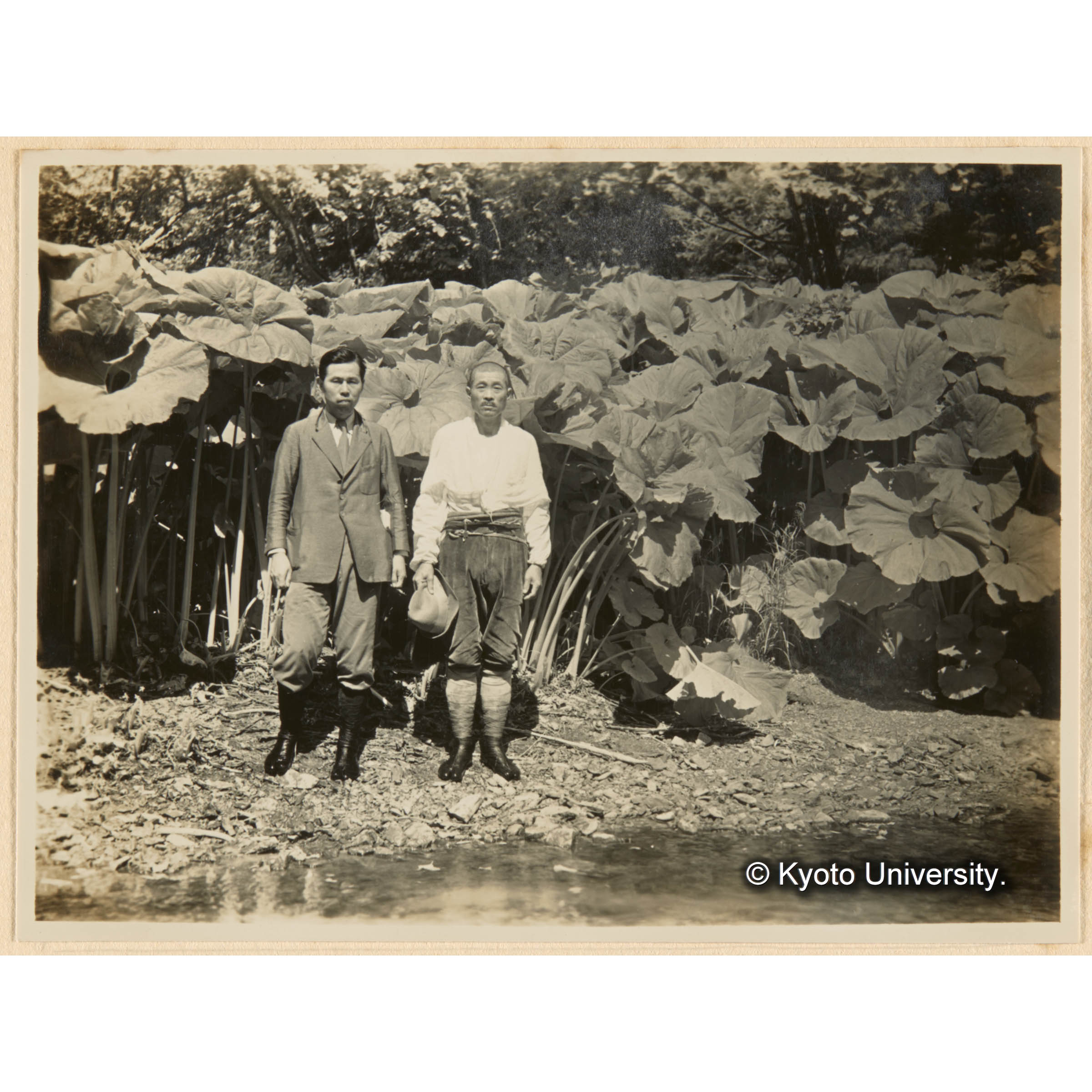 おほぶきノ群生　古丹岸團地 西股沢 (1)