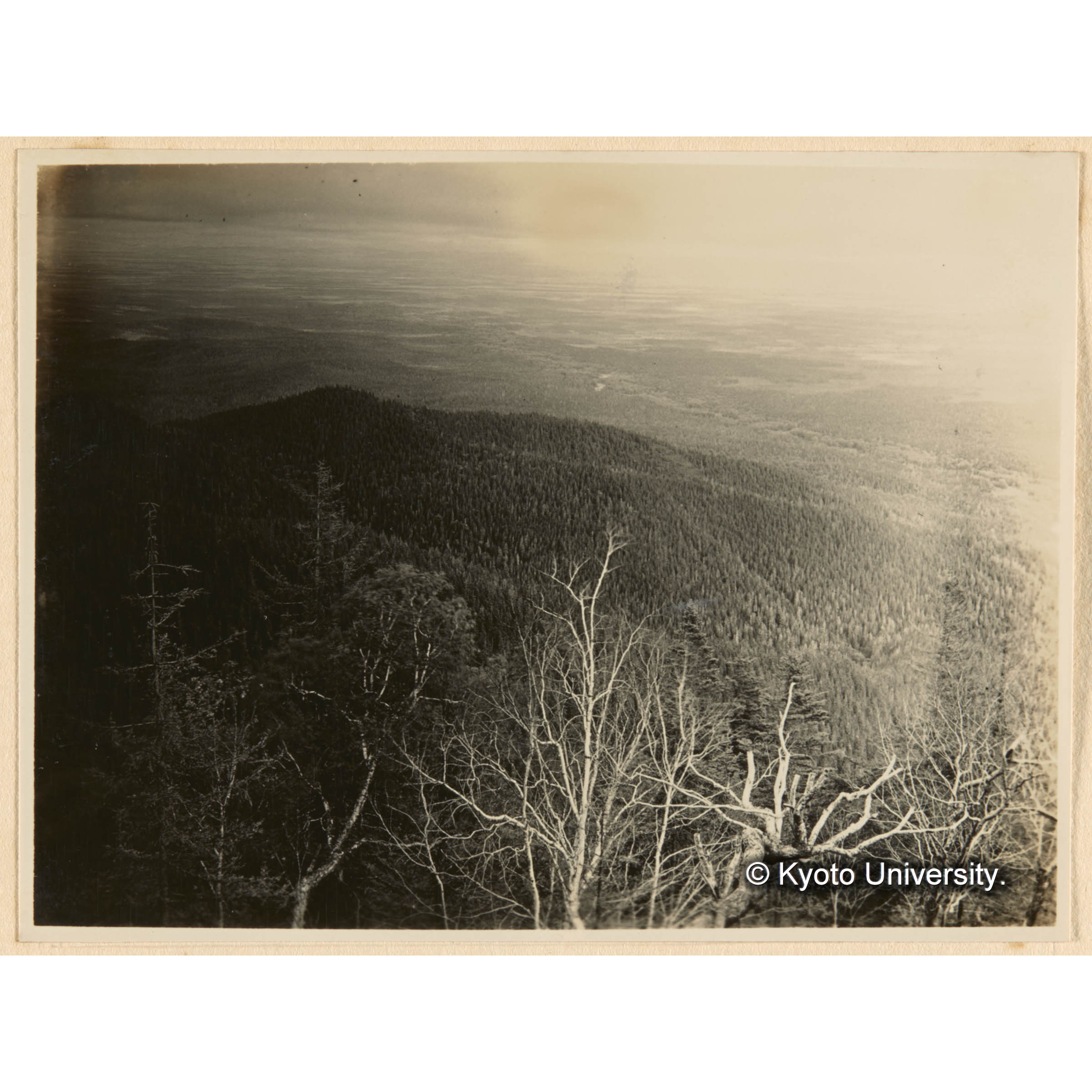 亜屯山焼跡地（海抜髙700m）ヨリ一ノ沢、壁ノ沢、焼跡地ヲ望ム (1)