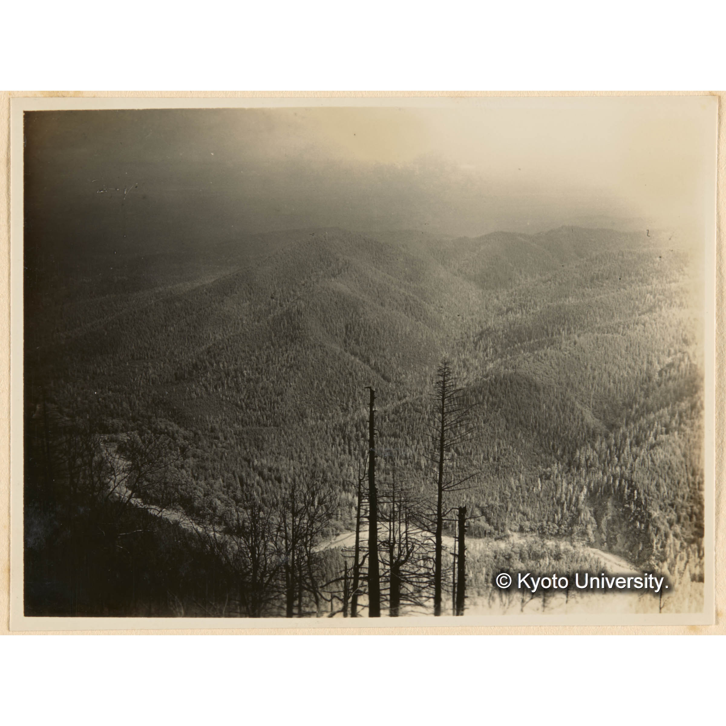 亜屯山焼跡地（海抜髙701m）ヨリ前ノ沢流域（對岸）ヲ望ム (1)
