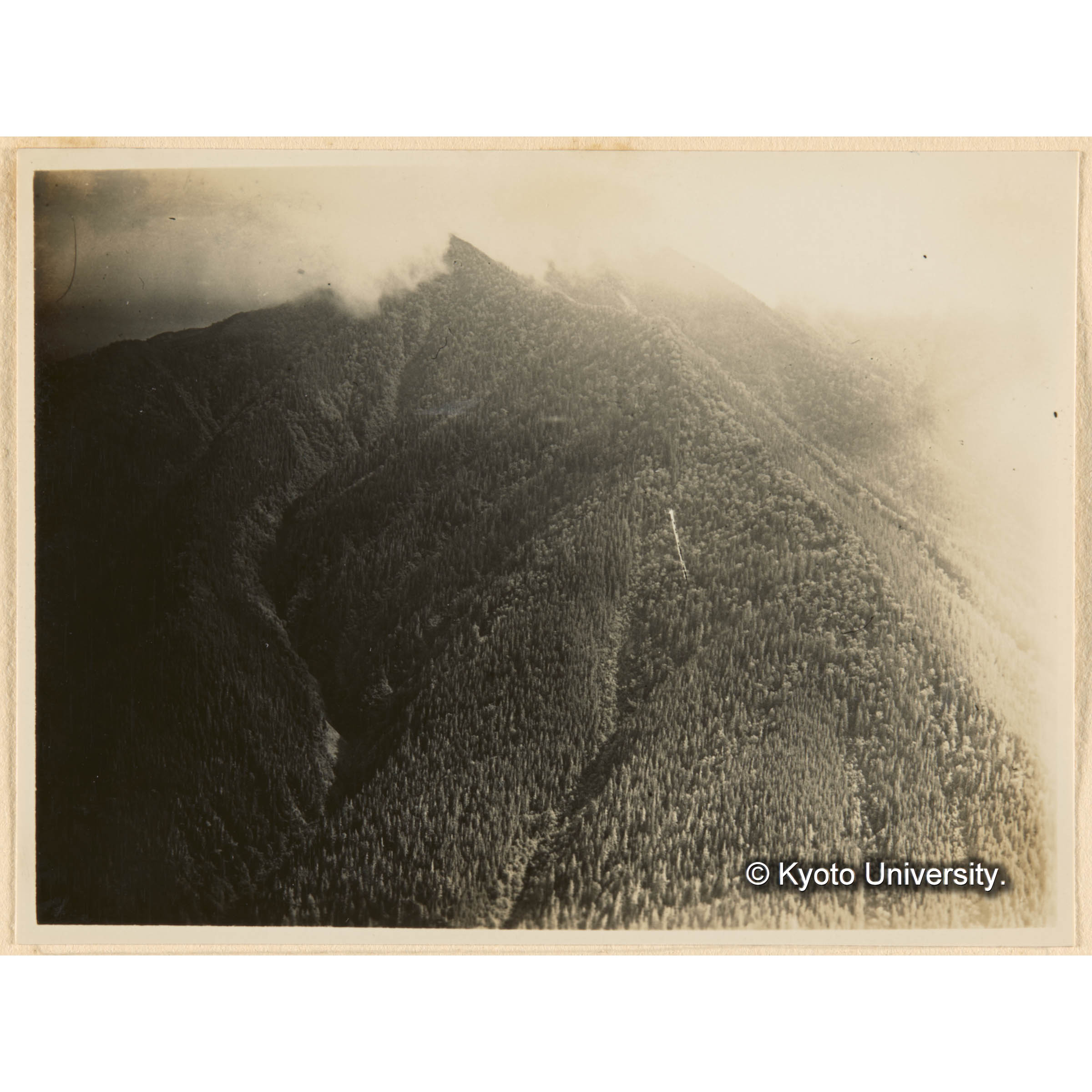 亜屯山焼跡地（海抜髙700m)ヨリ對岸、千輪山中ノ沢流域ヲ望ム (1)