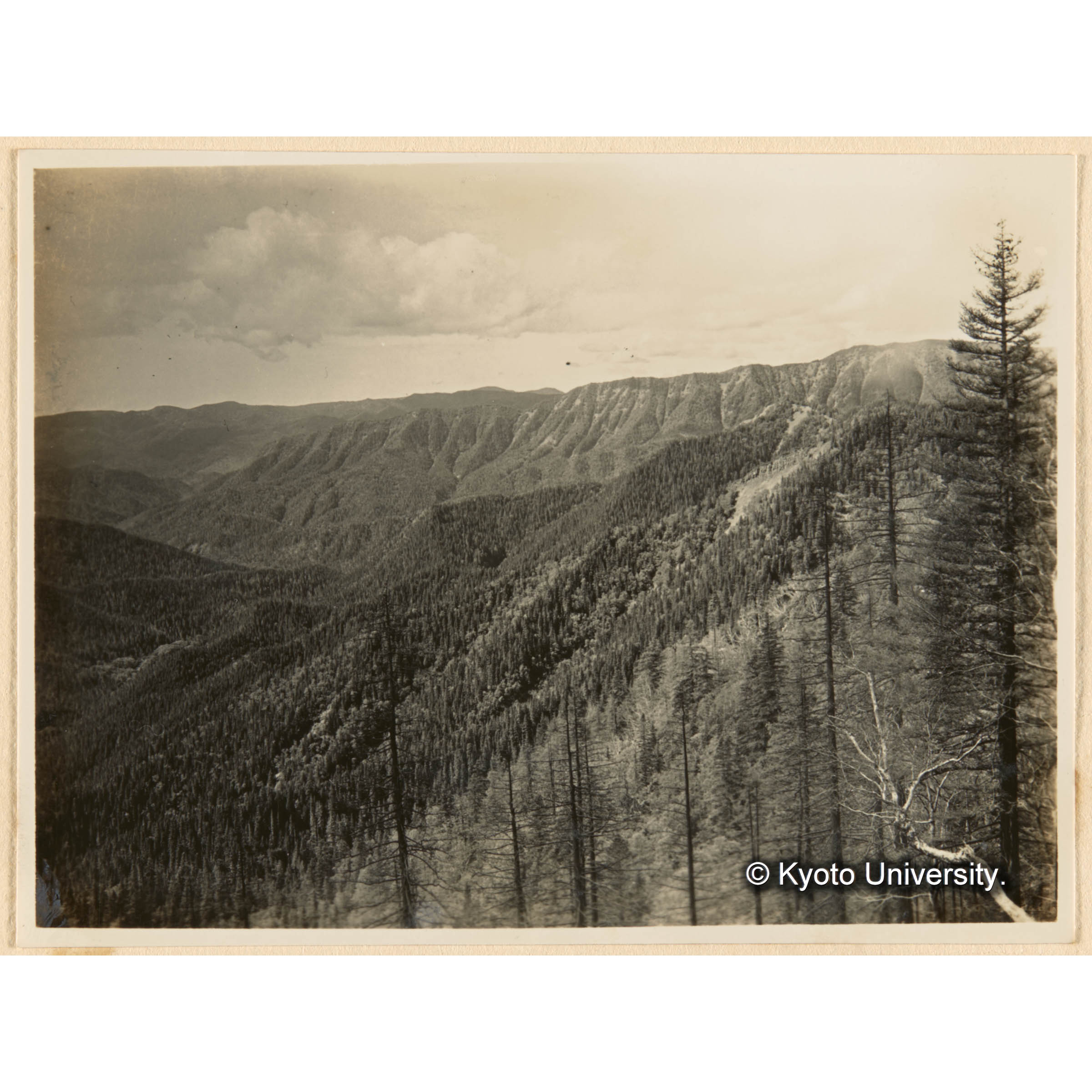亜屯山焼跡地(海抜髙700m）ヨリ亜屯川上流國有林ヲ望ム (1)